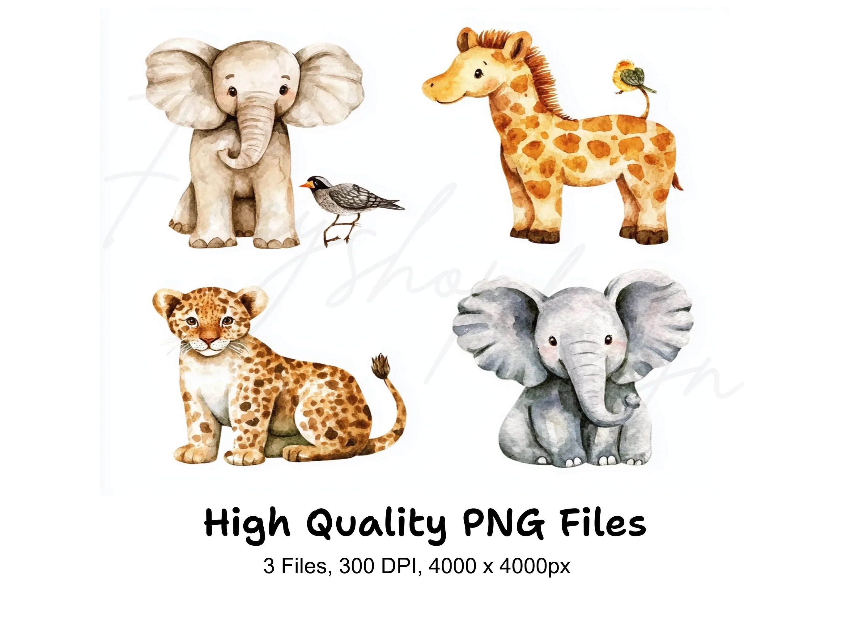 Cute Baby Safari Animals Clipart Bundle