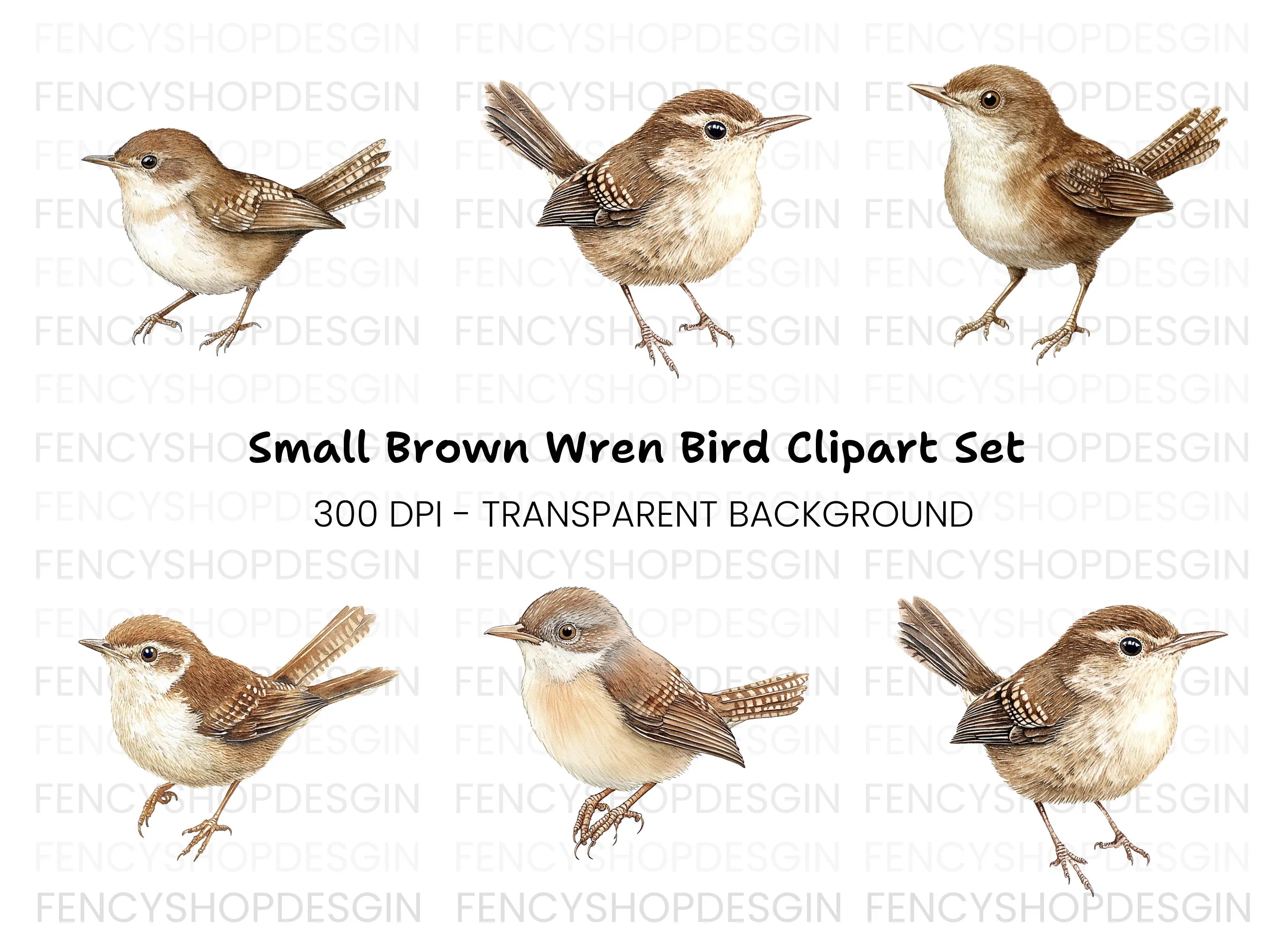 Charming Brown Wren Bird Clipart Bundle