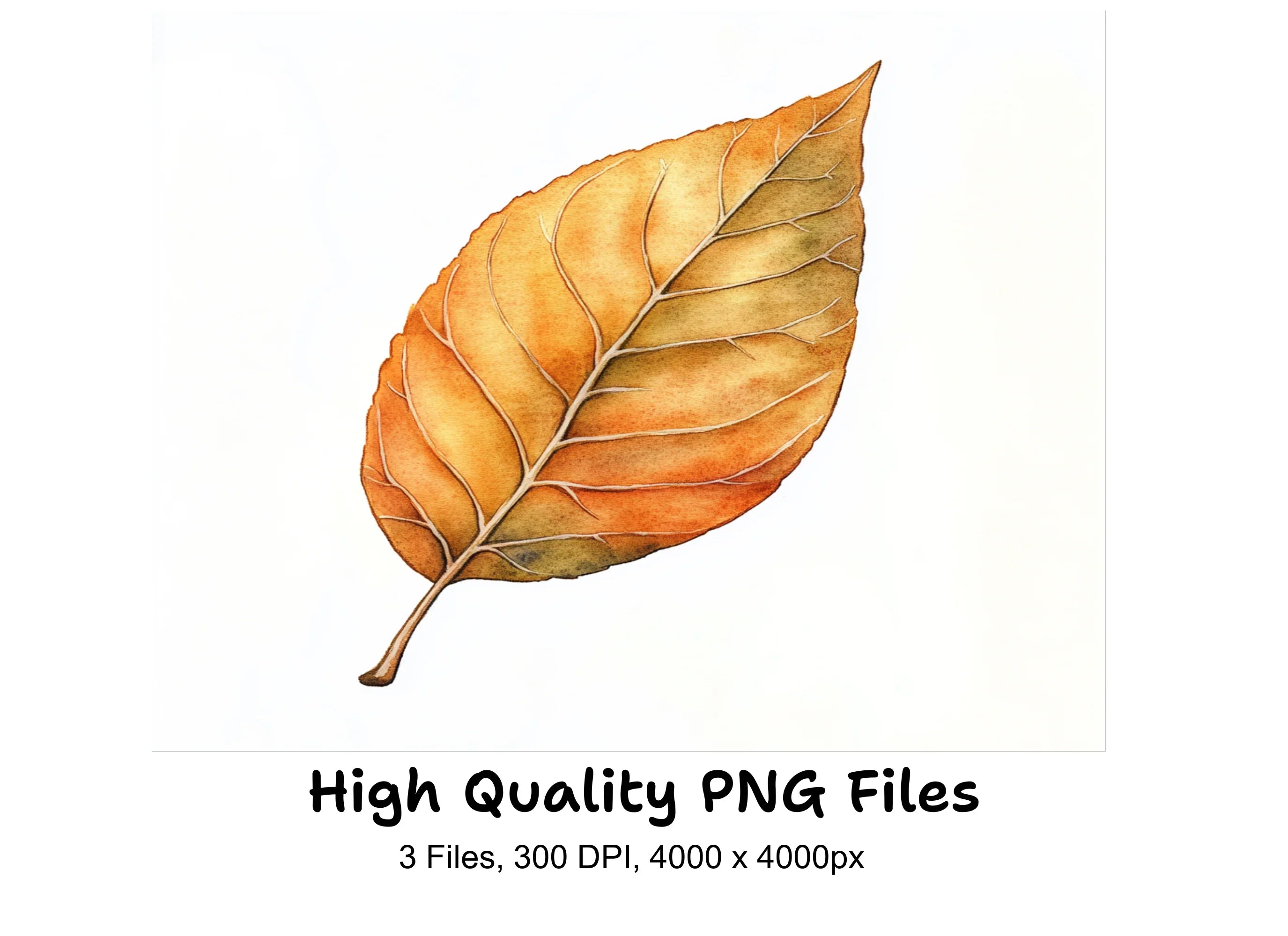 Autumn Leaves Clipart Bundle