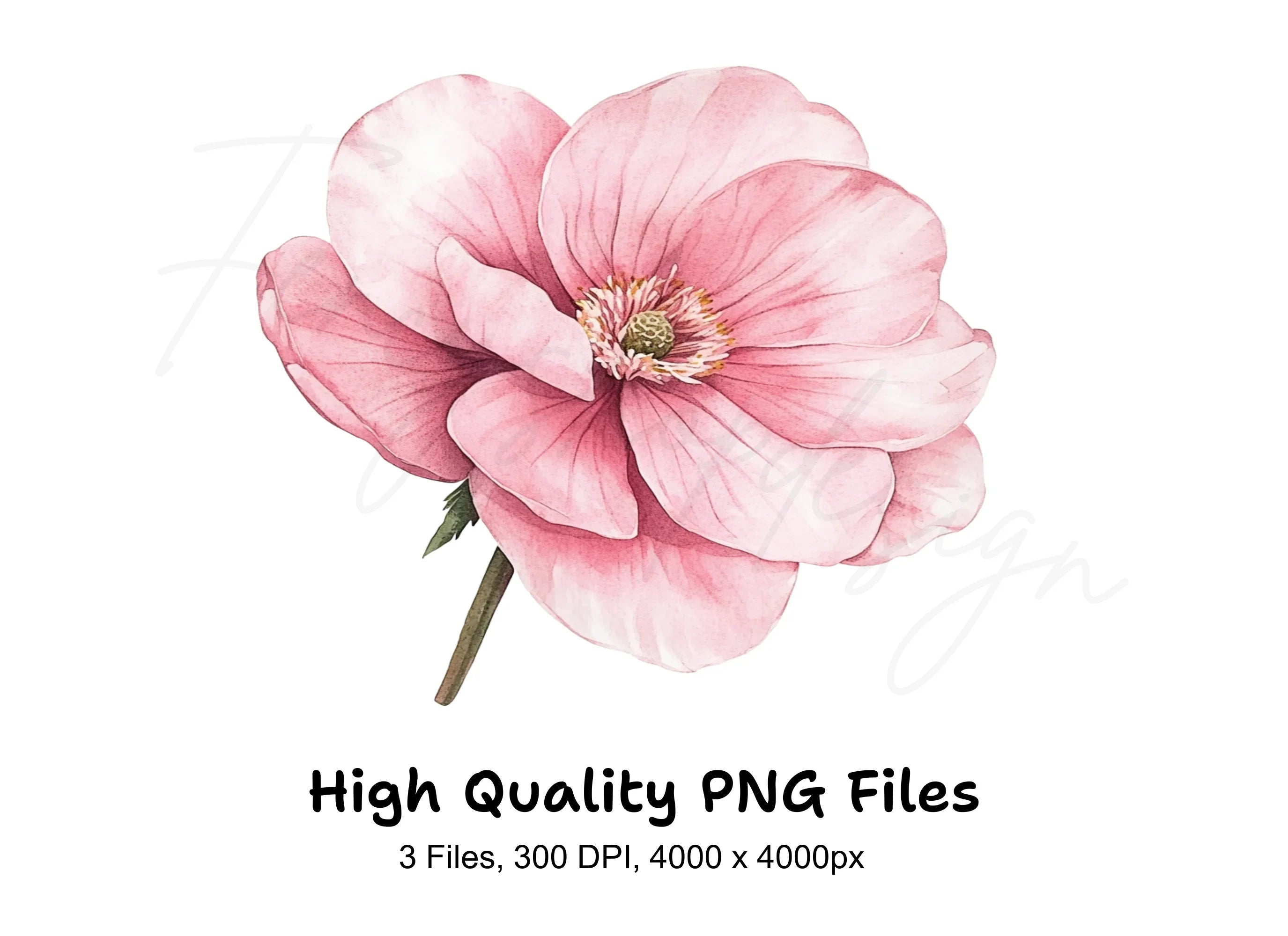 Blush Pink Flower Clipart Bundle