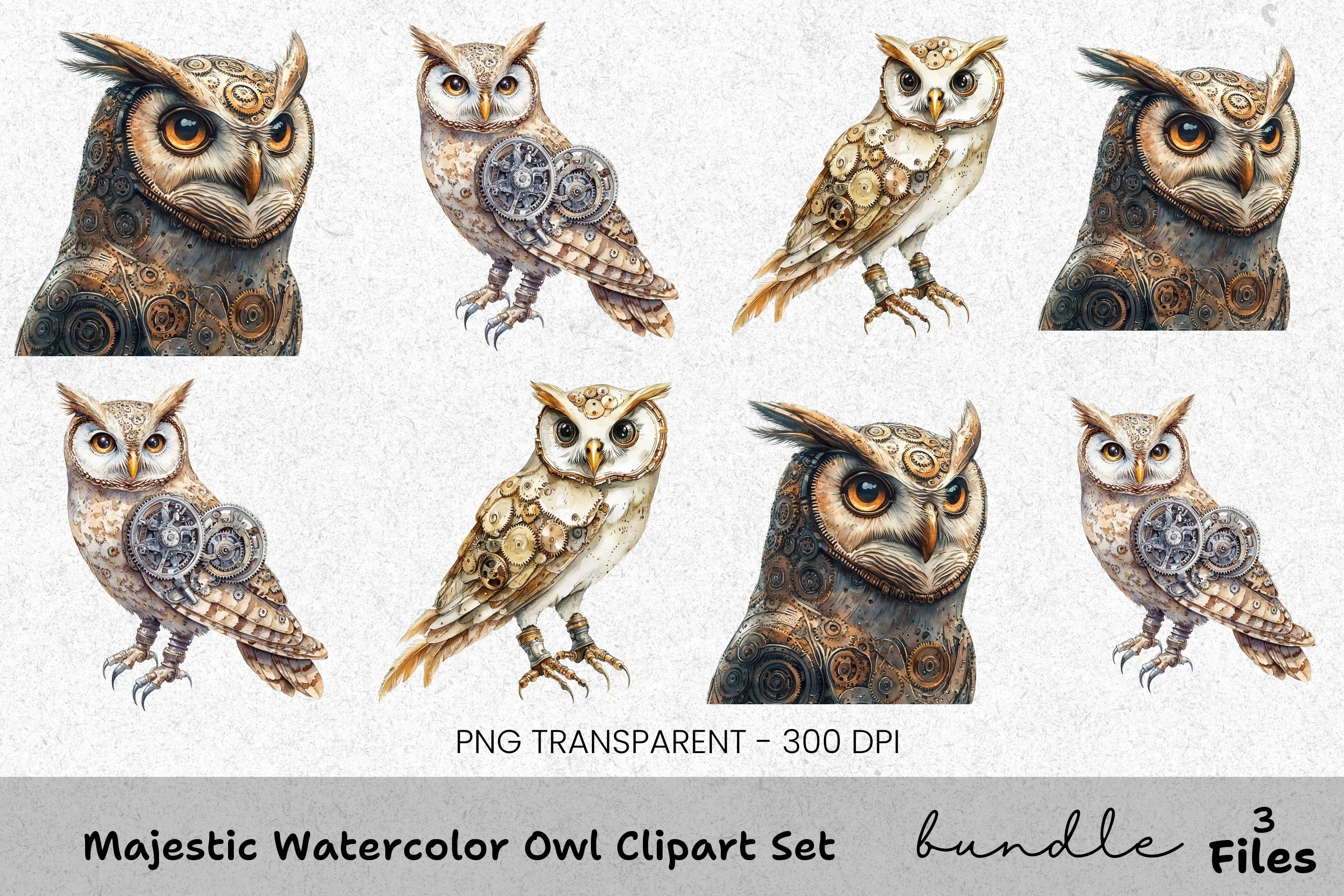 Majestic Owl Clipart Bundle