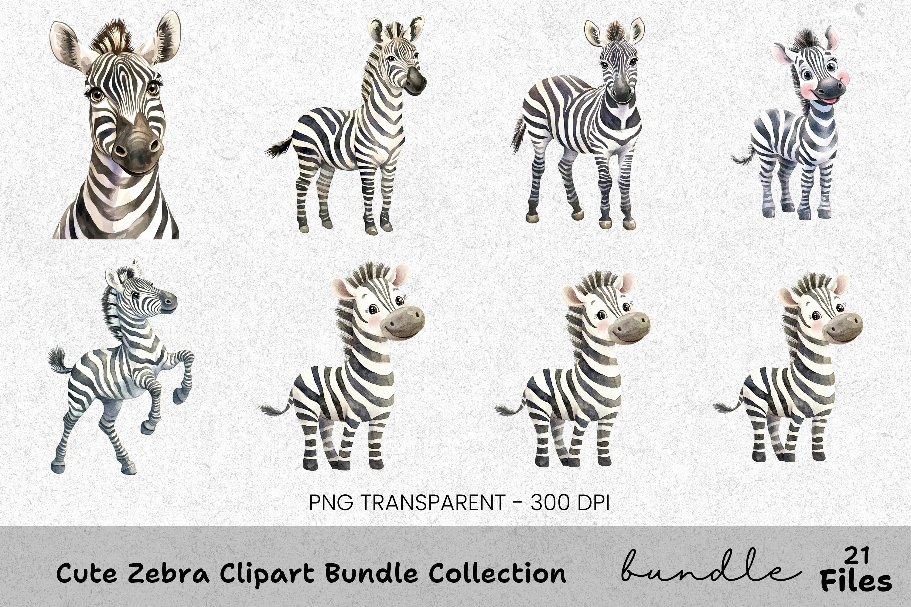 Cute Zebra Collection Clipart Bundle