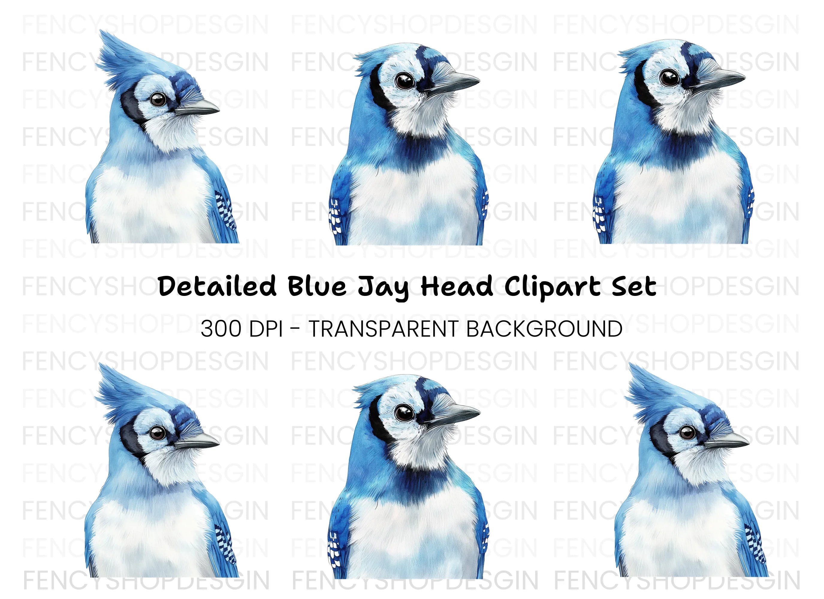 Blue Jay Bird Clipart Bundle
