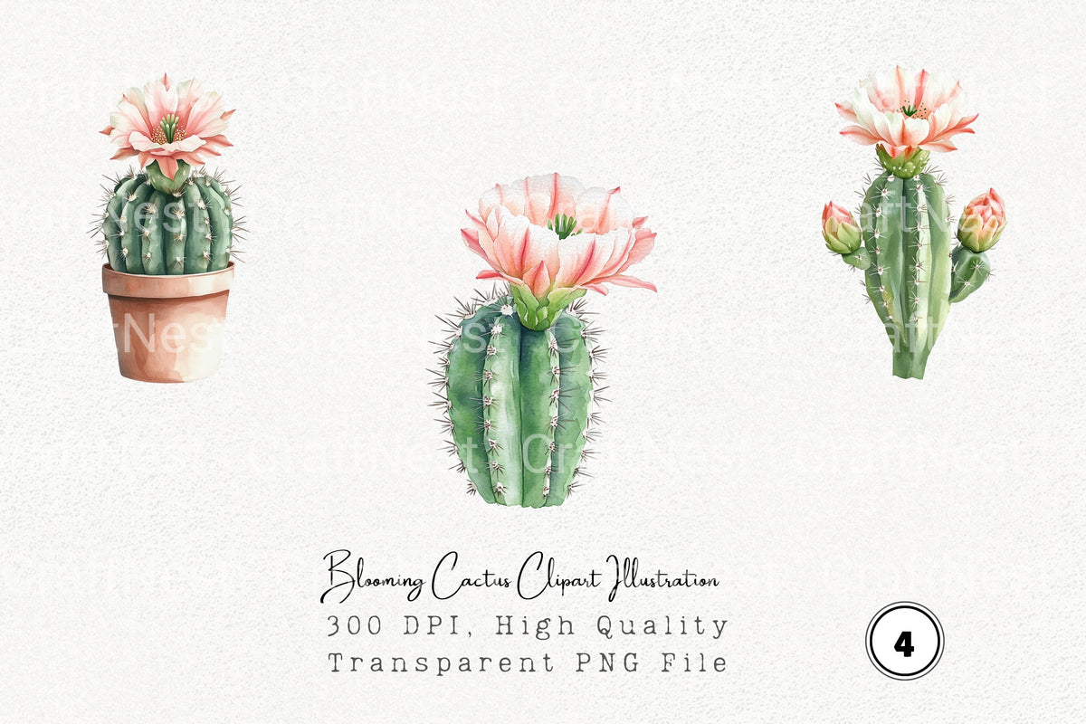 Blooming Cactus Illustration Clipart Bundle