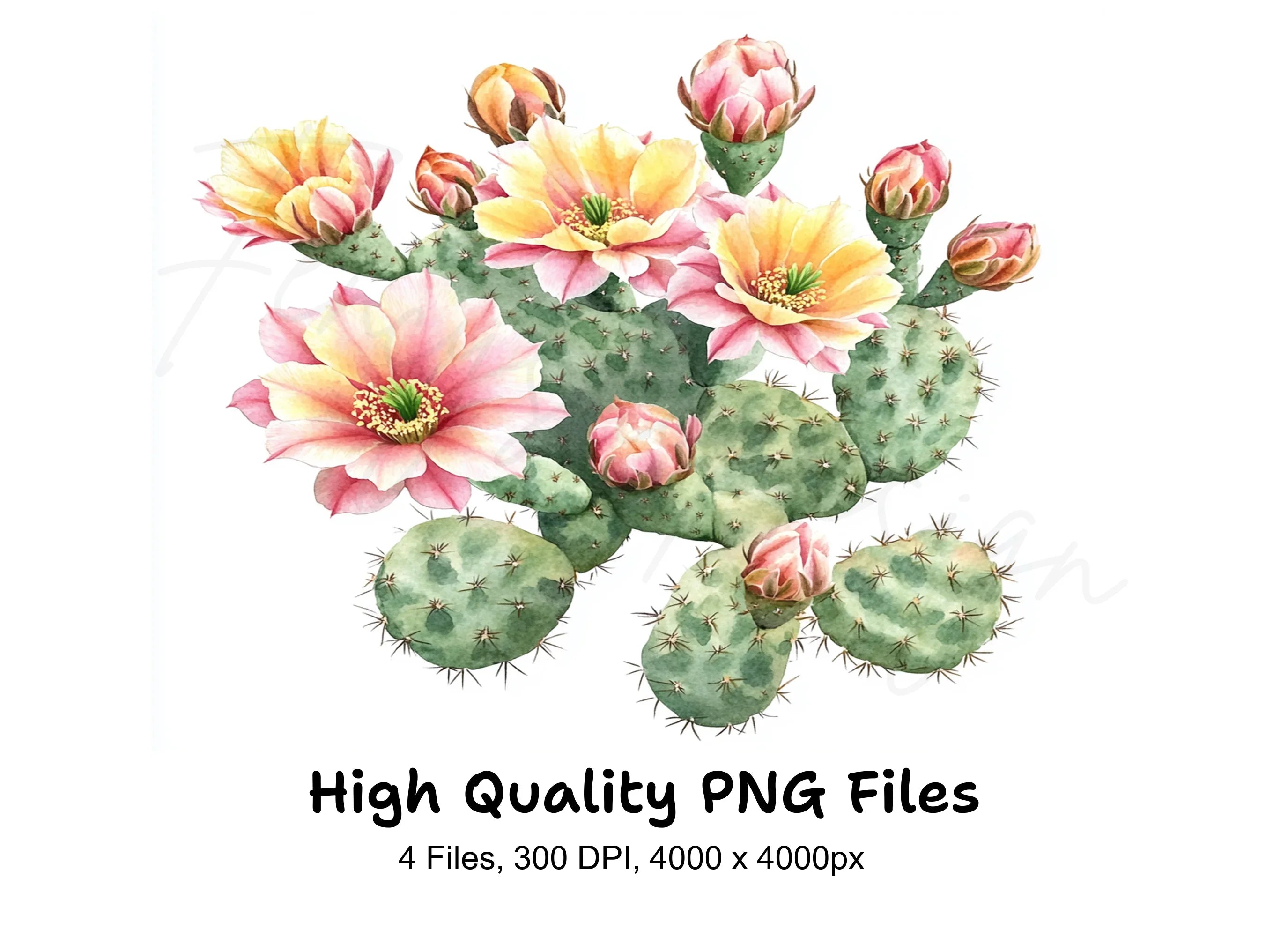 Prickly Pear Cactus Clipart Bundle