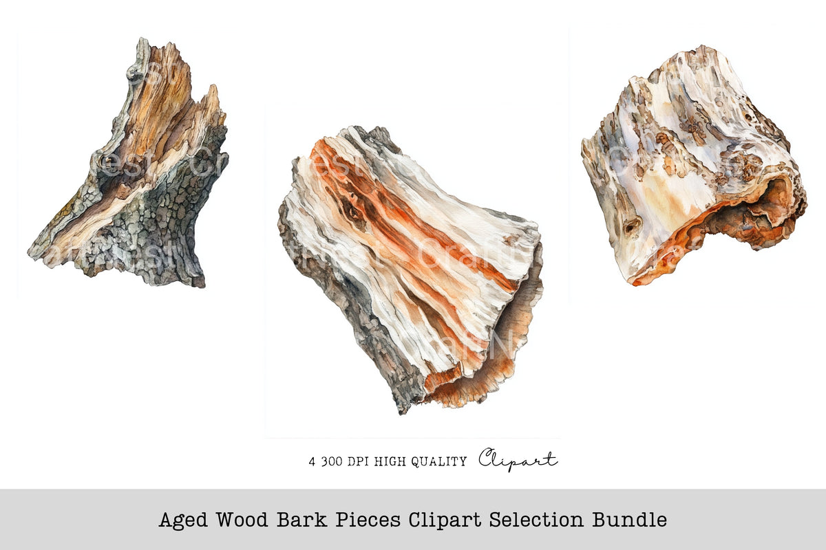 Aged Wood Bark Pieces Selection Clipart Bundle