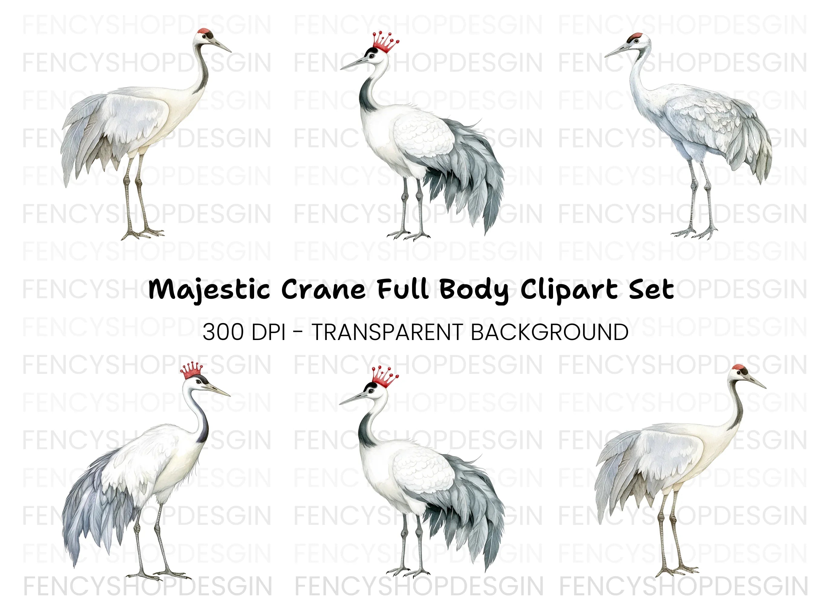 Majestic Crowned Cranes Clipart Bundle