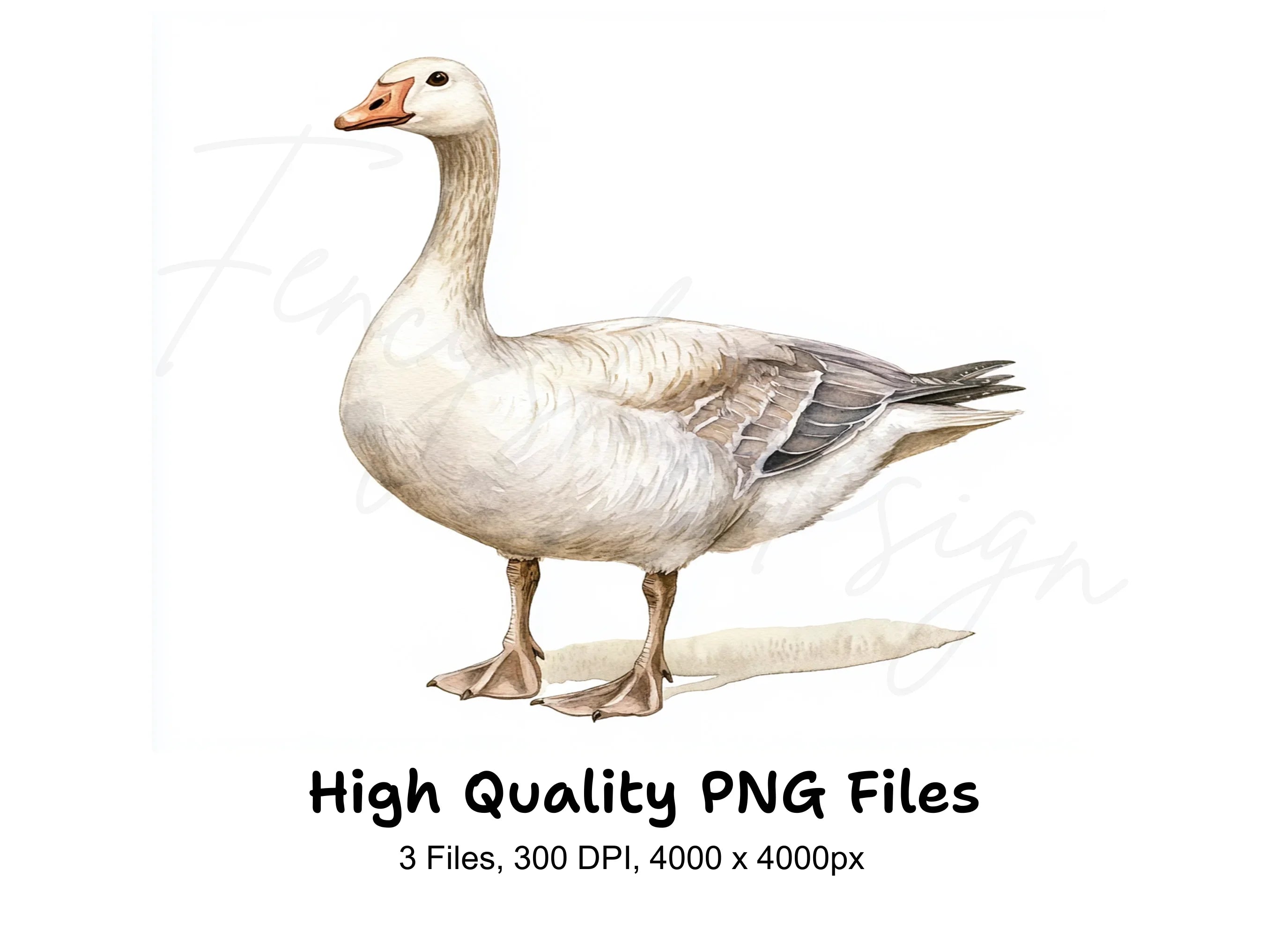 Geese Clipart Bundle
