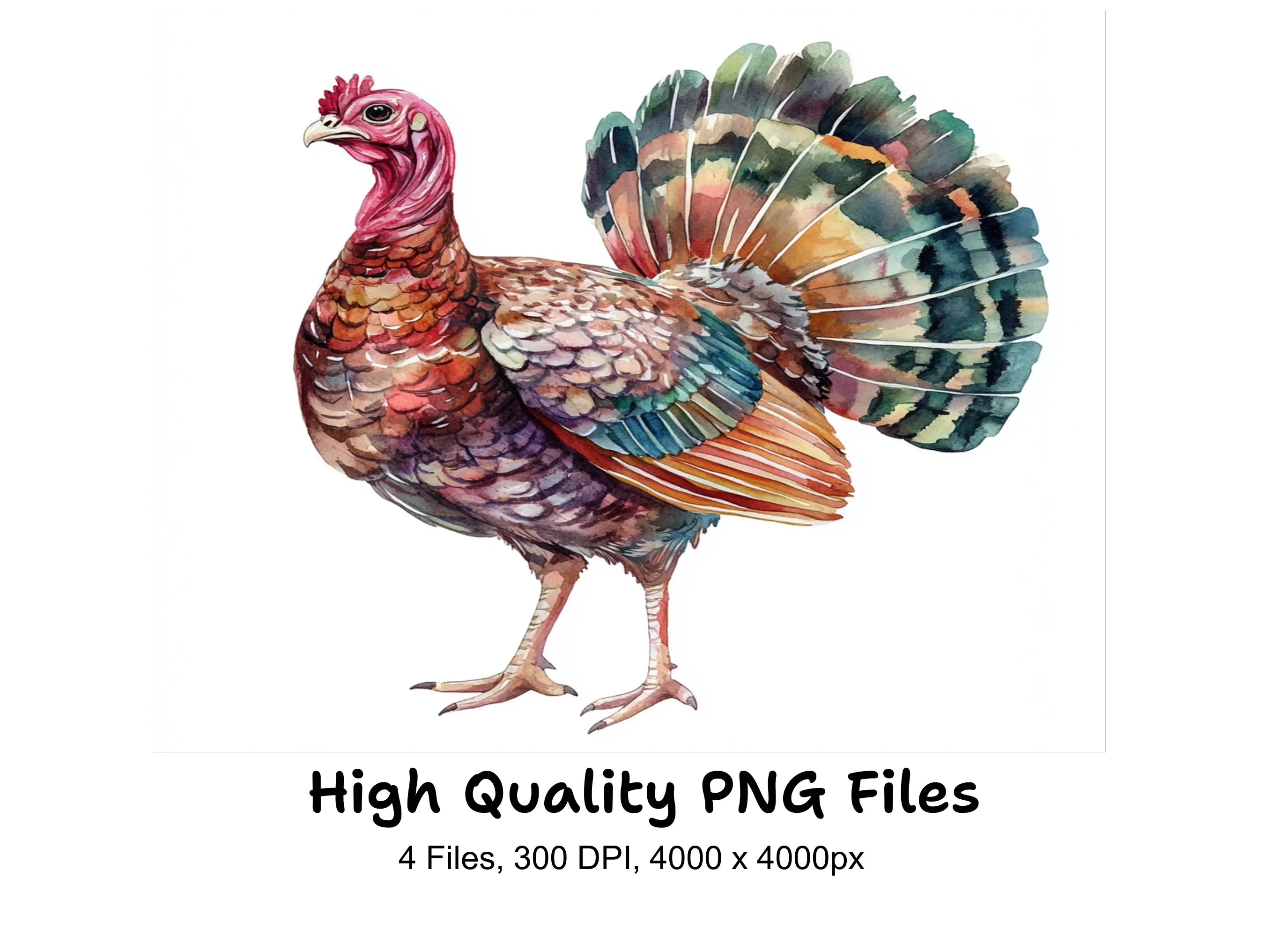 Thanksgiving Turkey Clipart Bundle