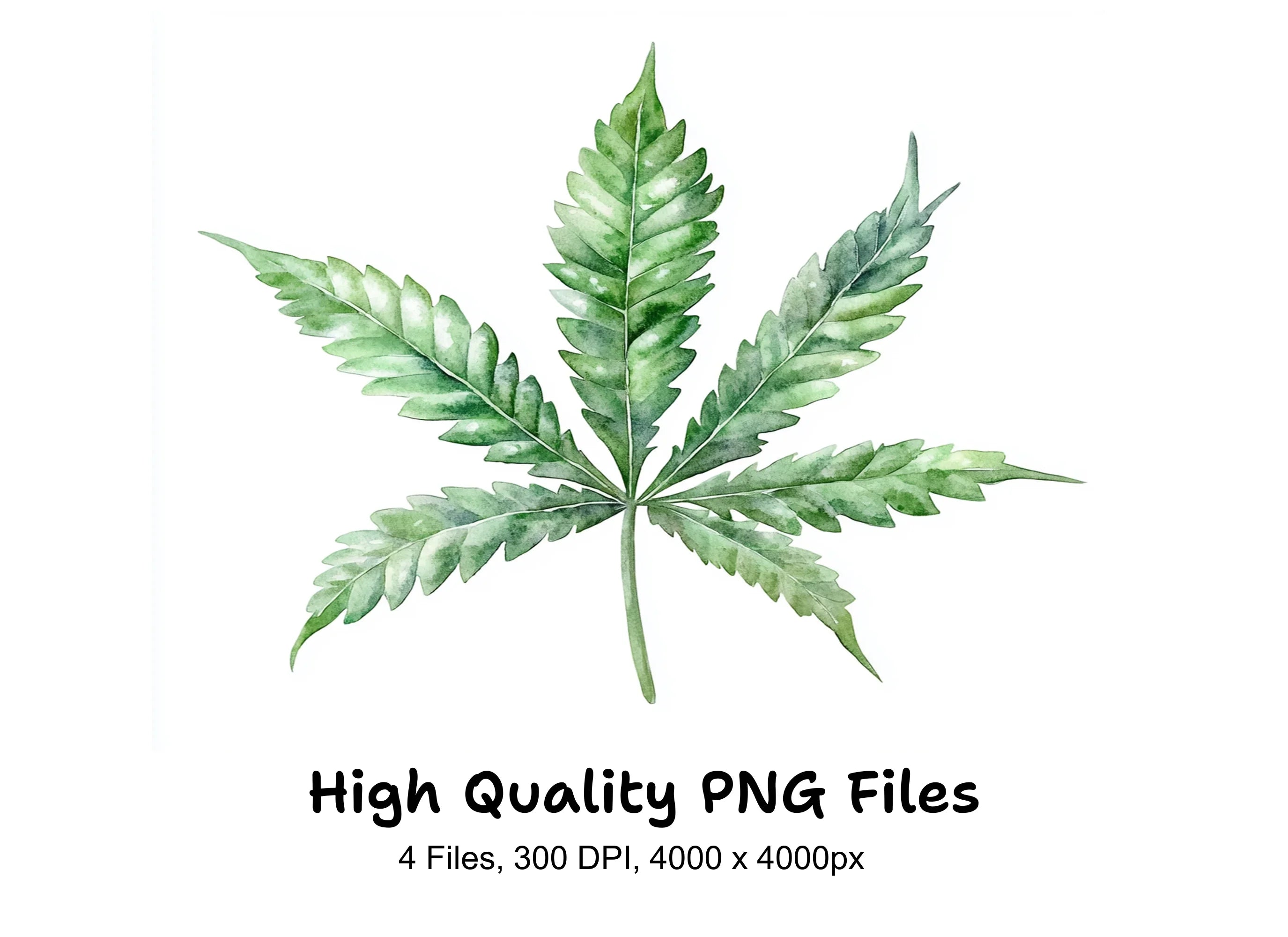 Cannabis Leaves Clipart Bundle