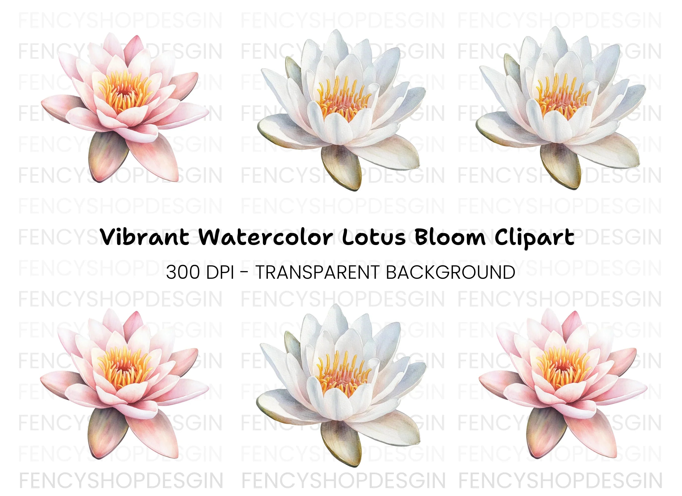 Elegant Water Lily Clipart Bundle
