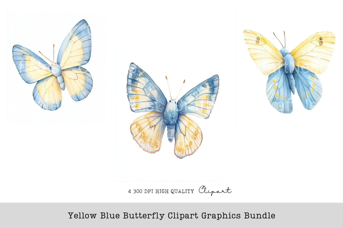 Yellow Blue Butterfly Graphics Clipart Bundle