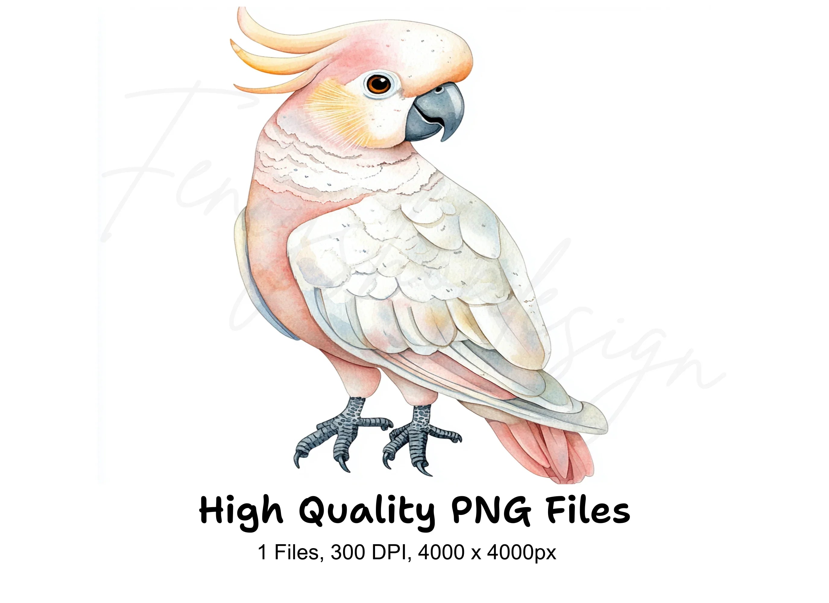 Pink and White Cockatoo Clipart Bundle