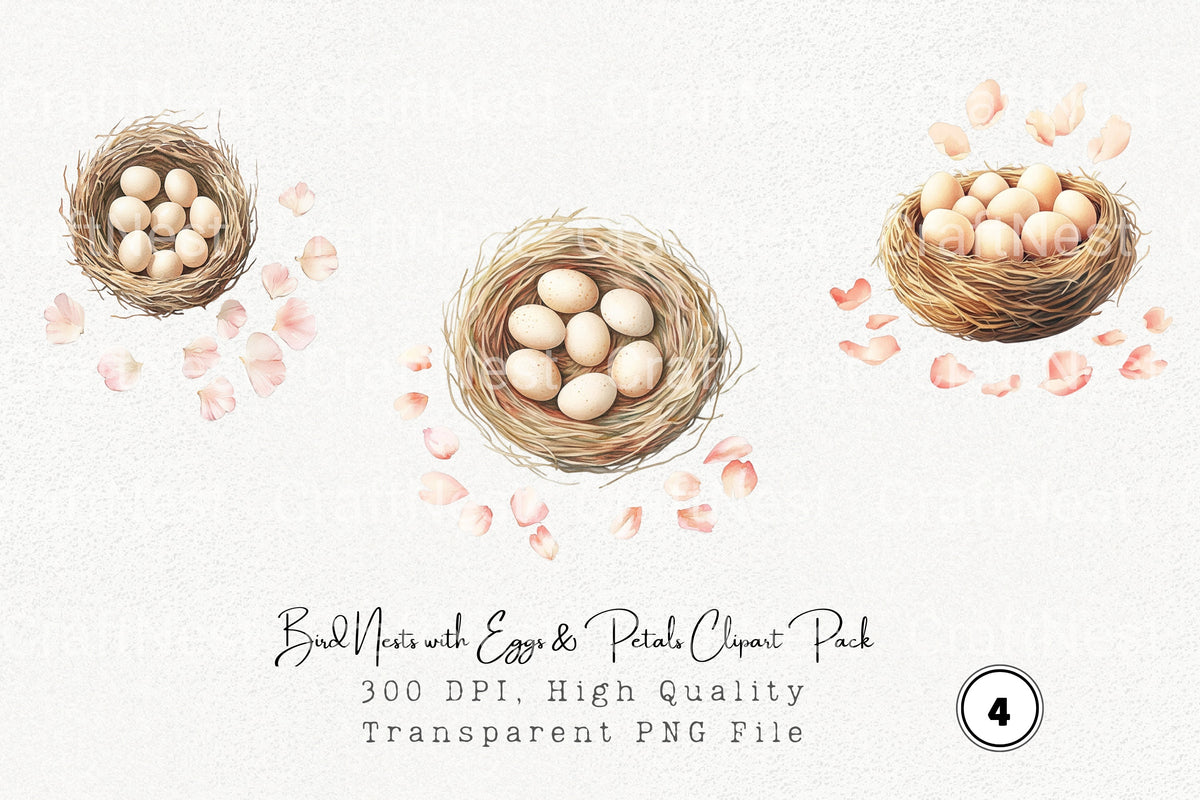 Bird Nests With Eggs Petals Clipart Bundle
