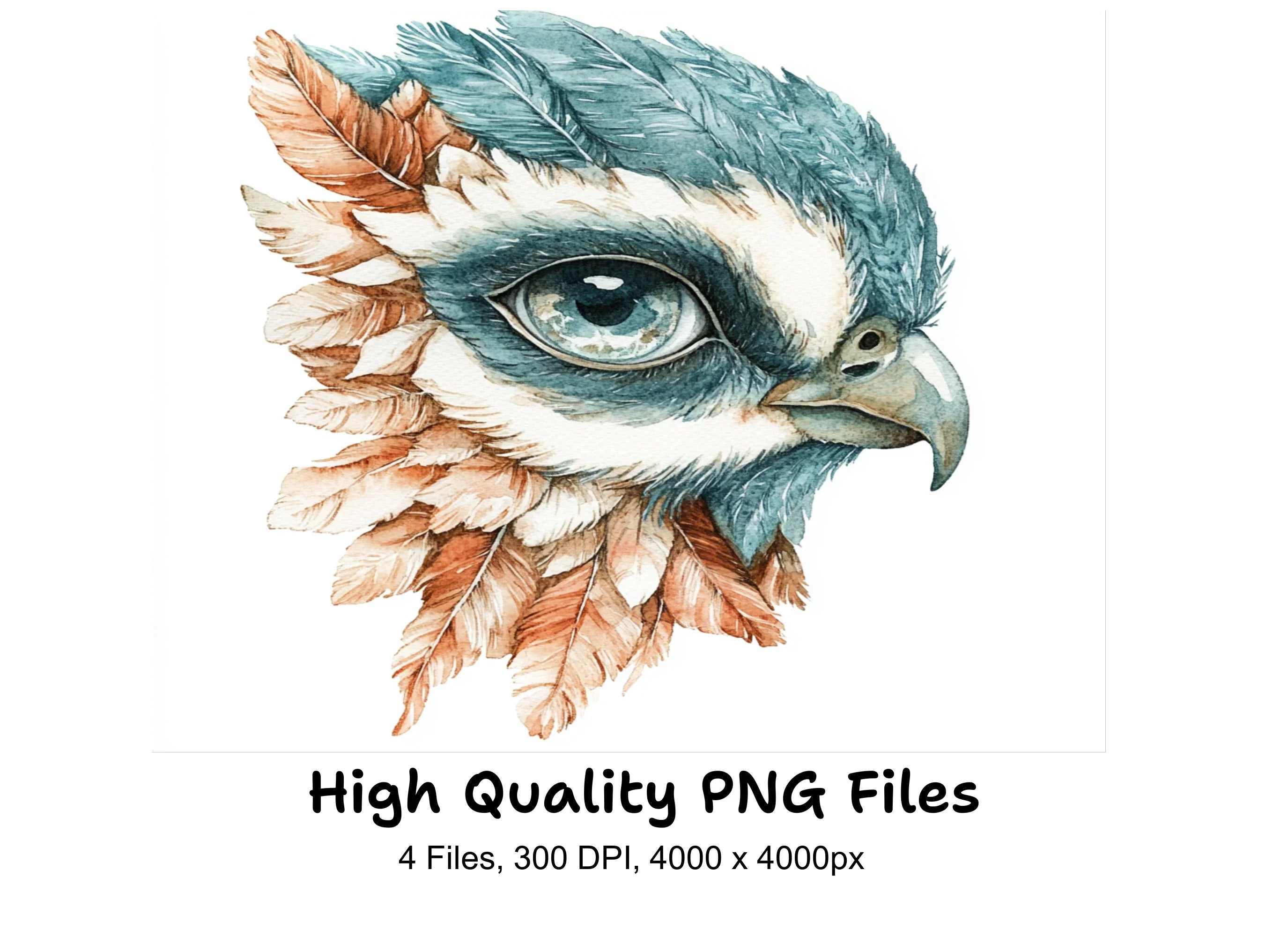 Feathered Bird Heads Clipart Bundle