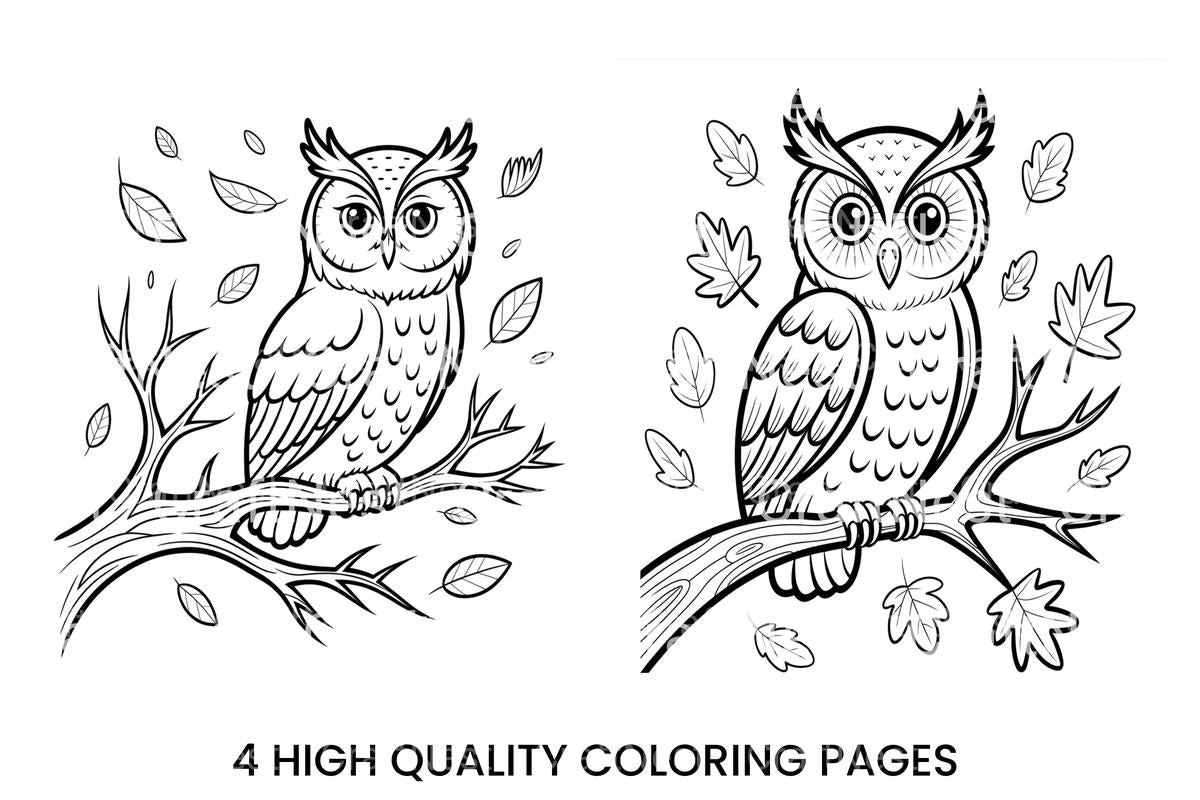 Wise Owl Autumn Leaves Coloring Books