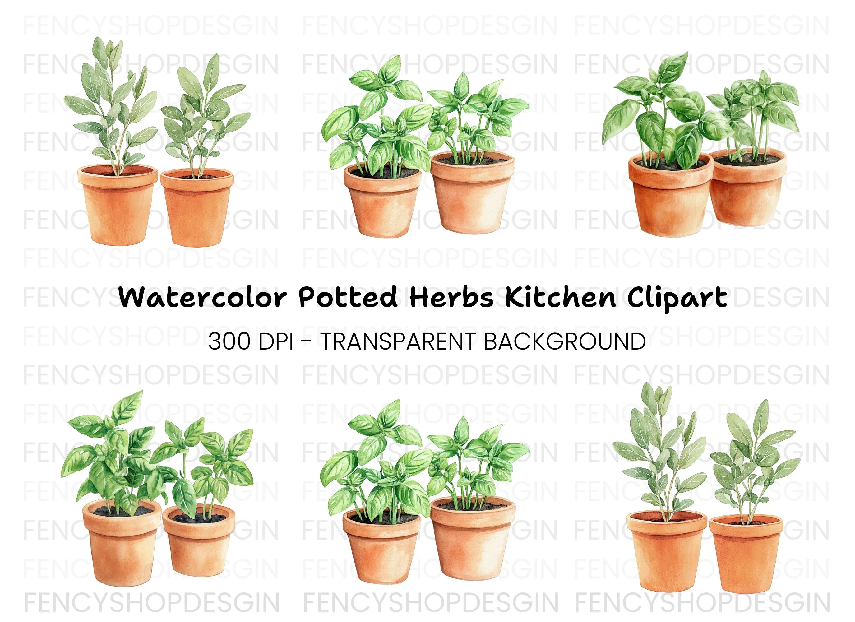Fresh Herb Potted Plants Clipart Bundle