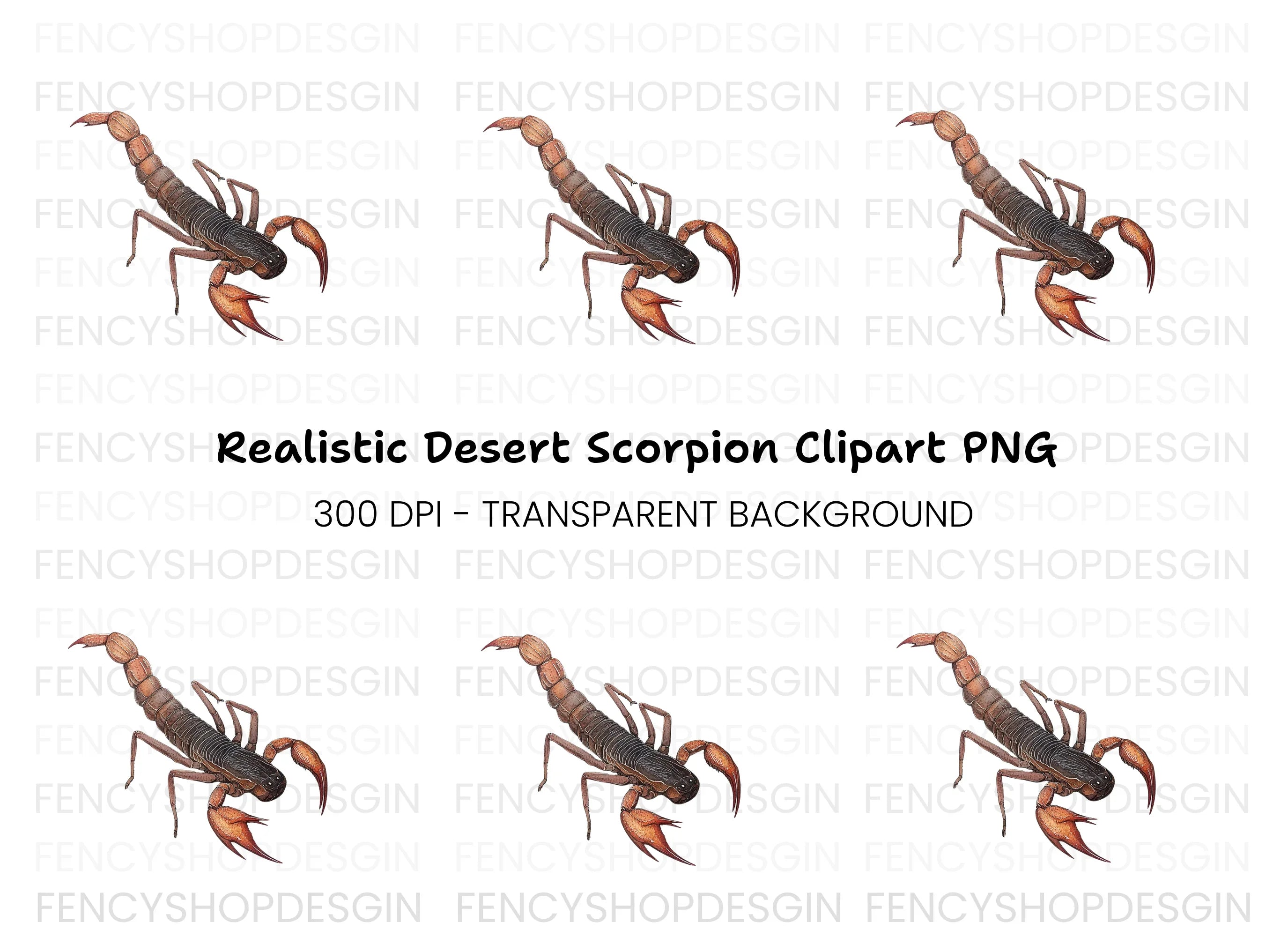 Realistic Scorpion Insect Clipart Bundle