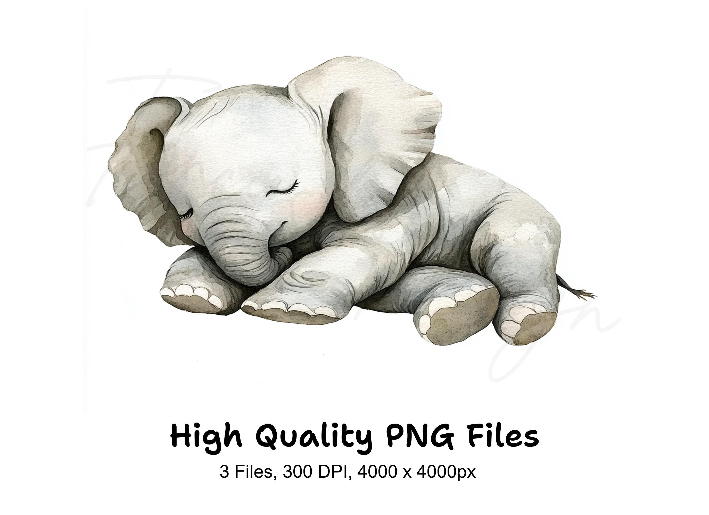 Cute Sleeping Baby Elephant Clipart Bundle