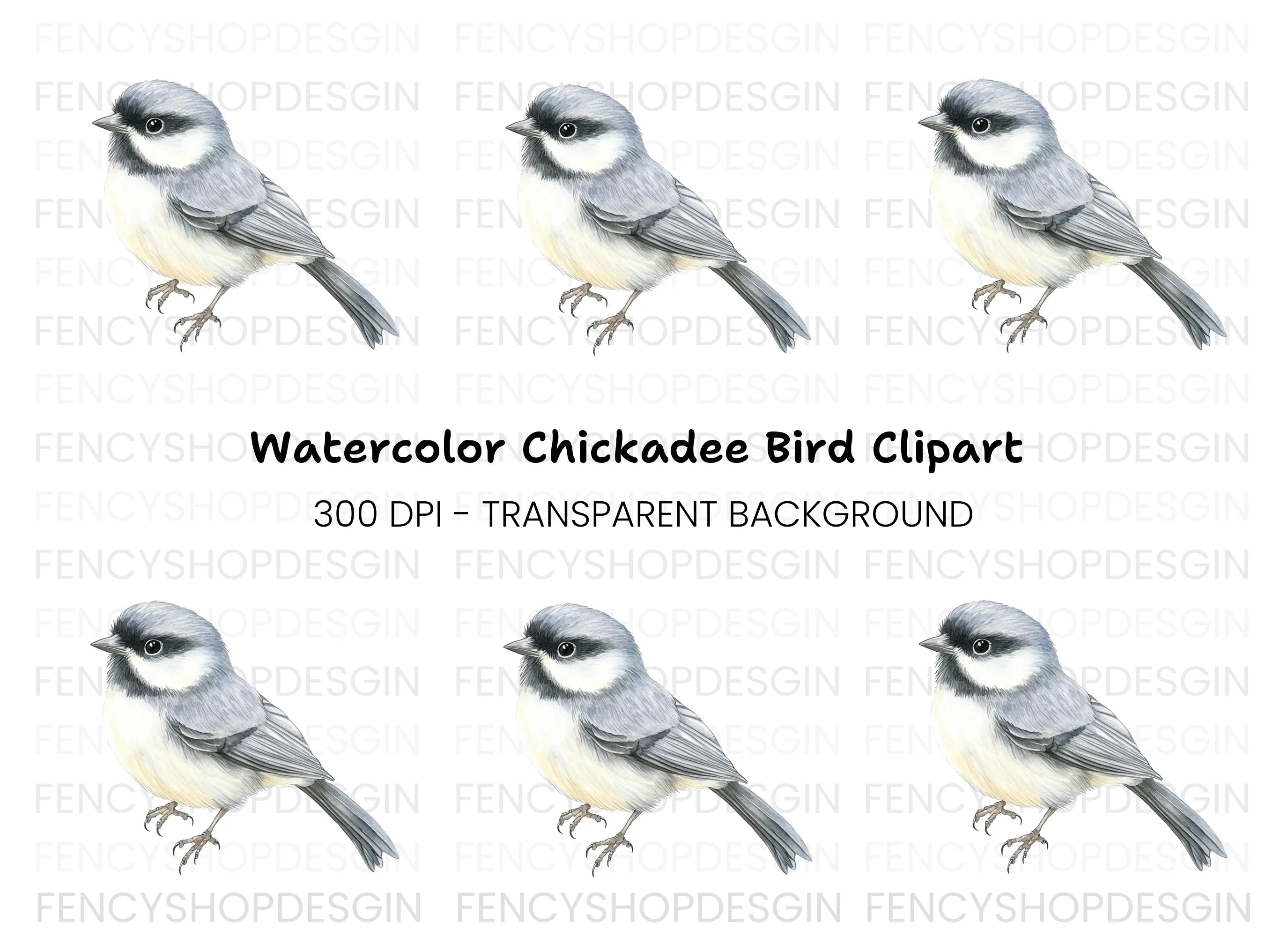 Elegant Grey Chickadee Bird Clipart Bundle