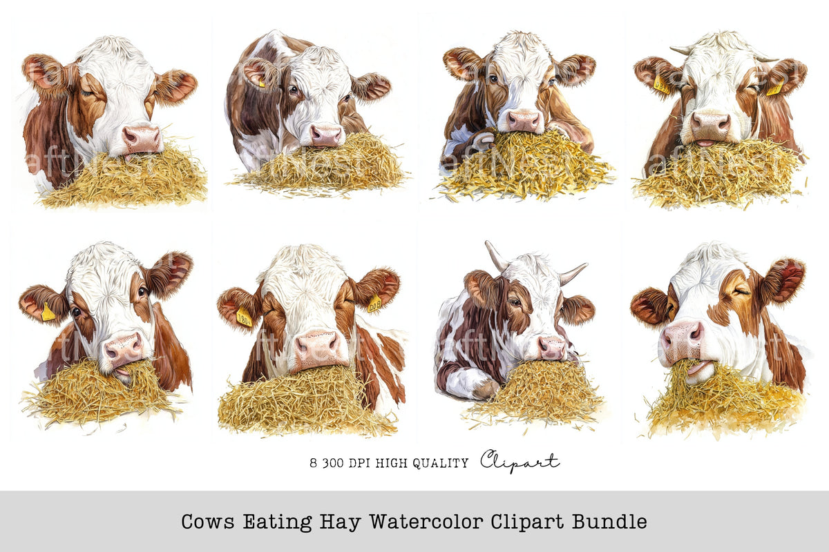 Cows Eating Hay Clipart Bundle