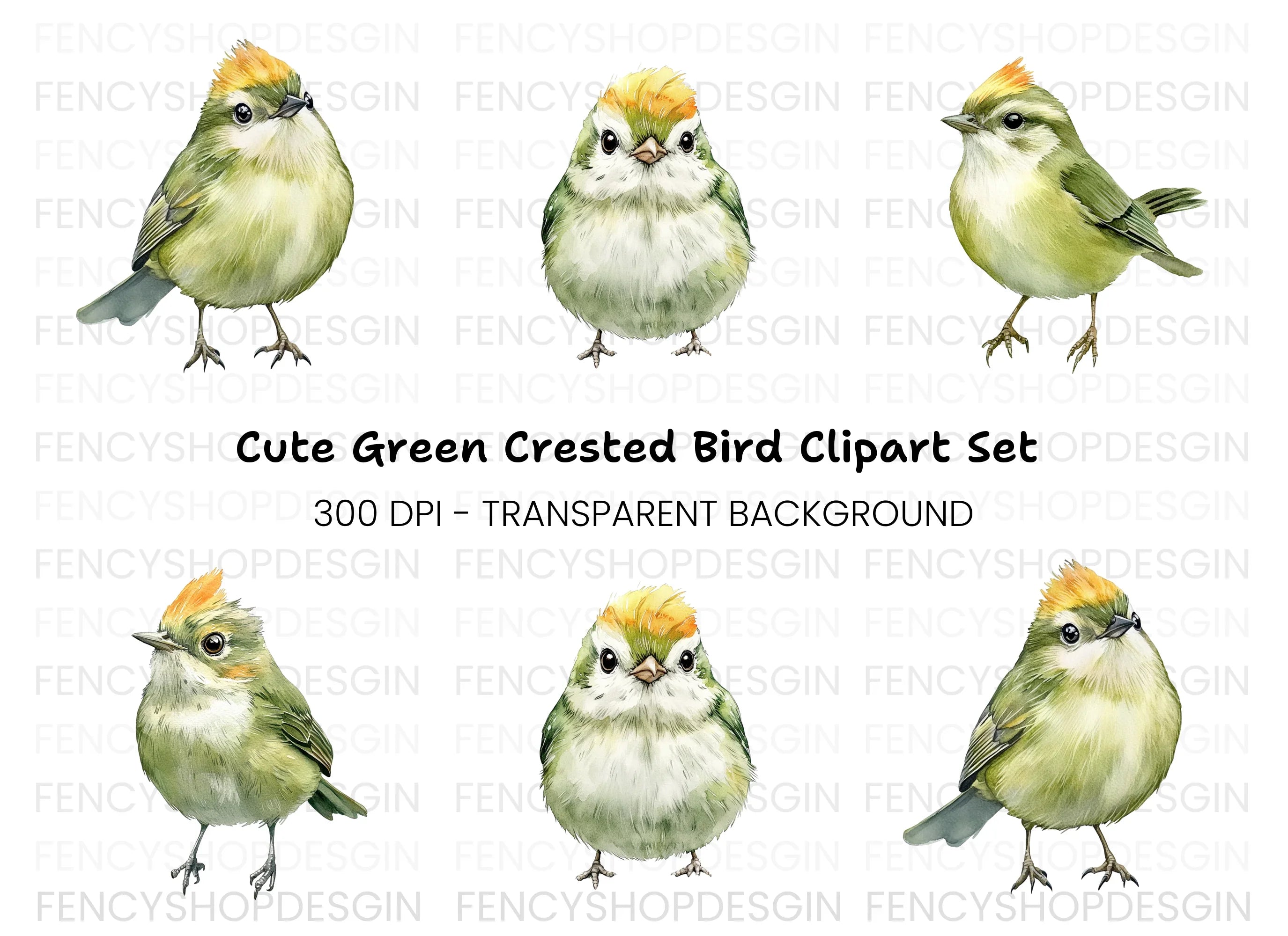 Cute Green Birds Clipart Bundle