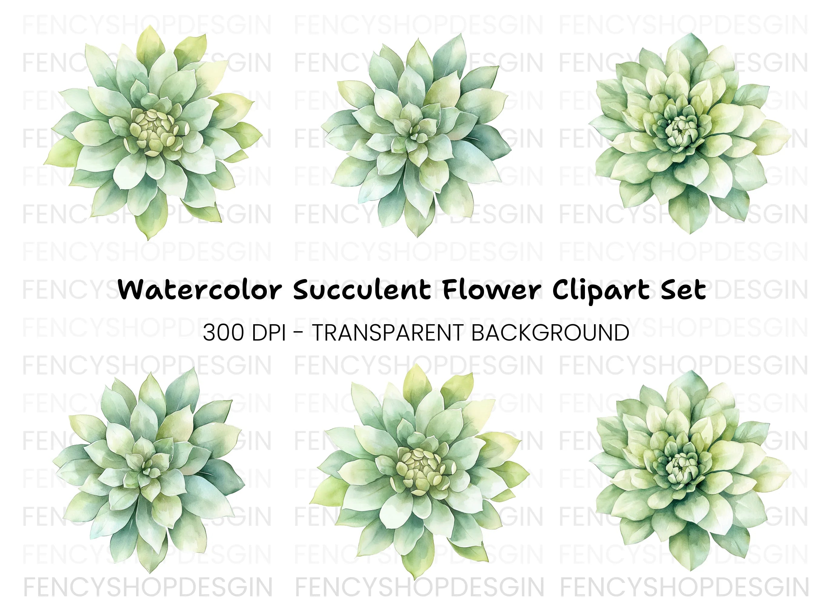 Succulent Clipart Bundle
