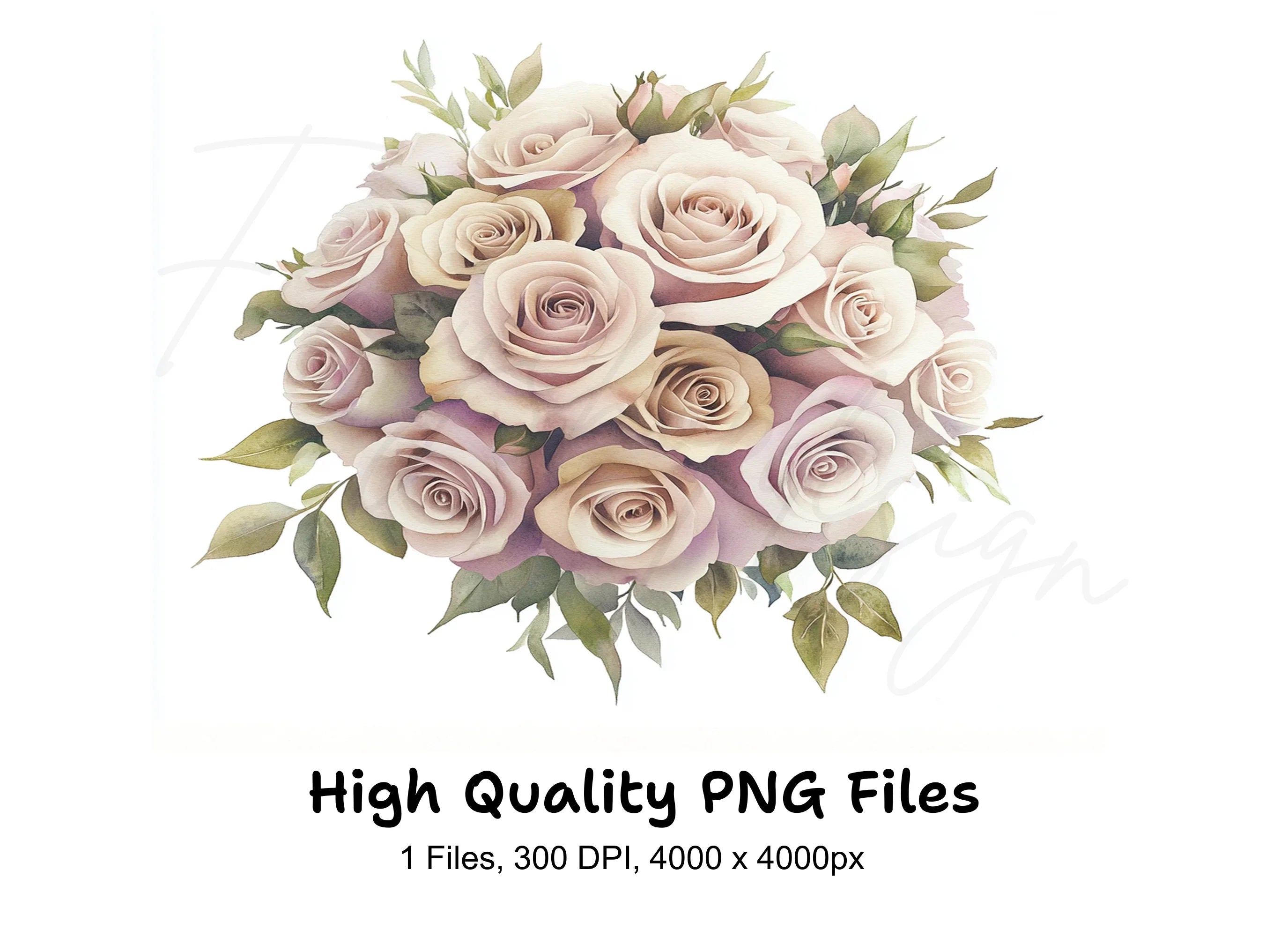 Romantic Pink Rose Clipart Bundle