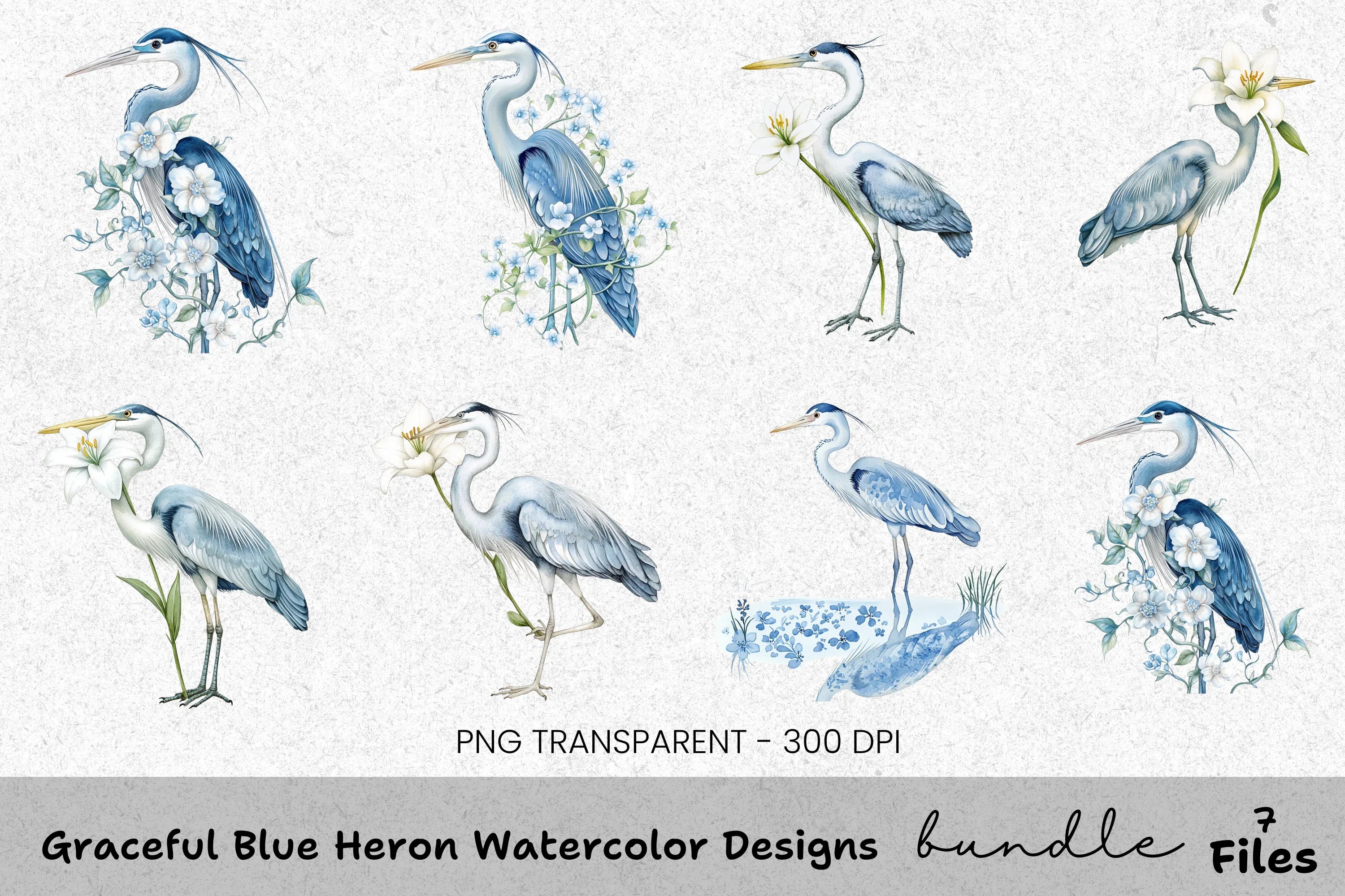 Graceful Blue Heron Designs Clipart Bundle
