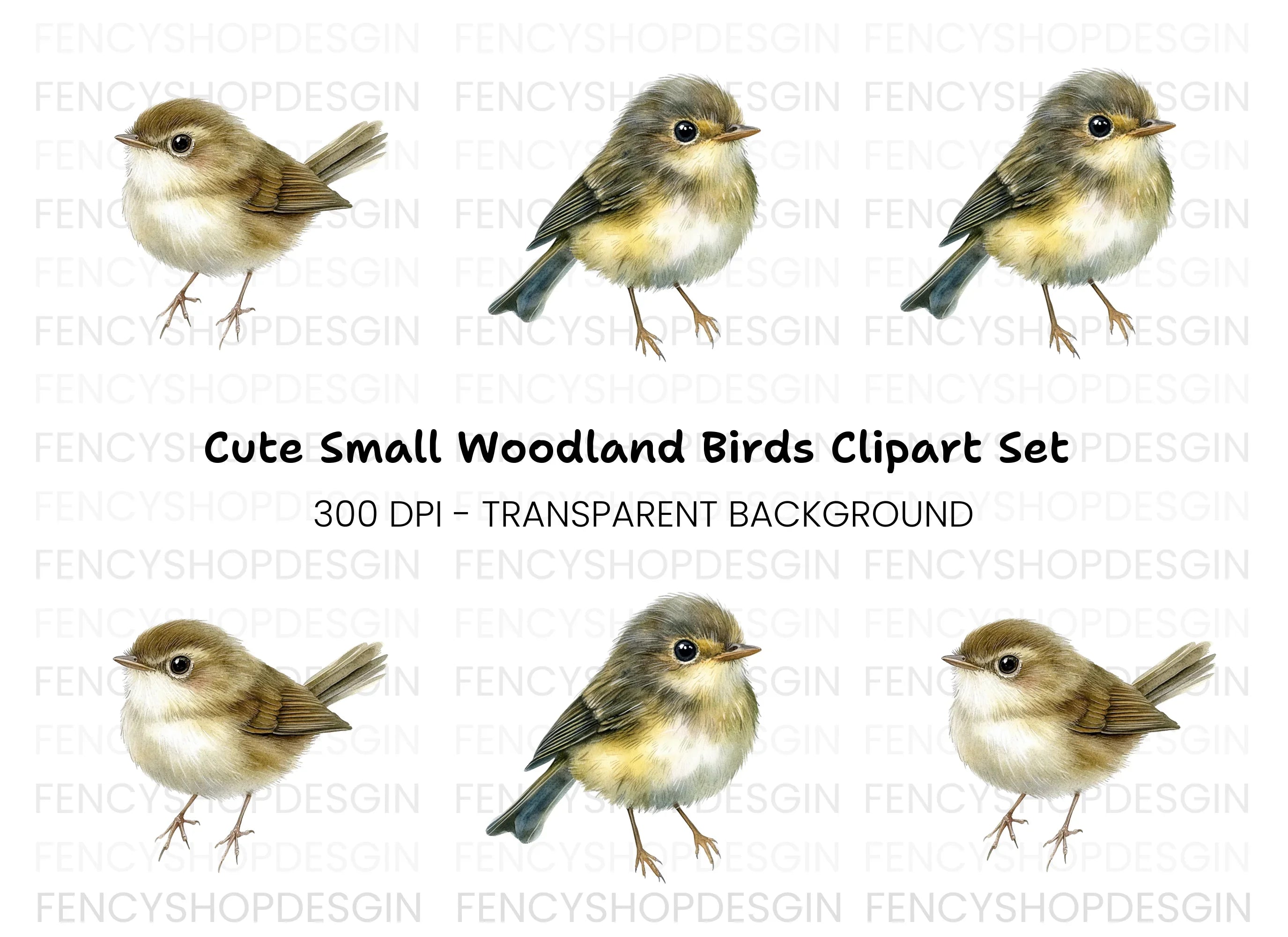 Cute Small Birds Clipart Bundle