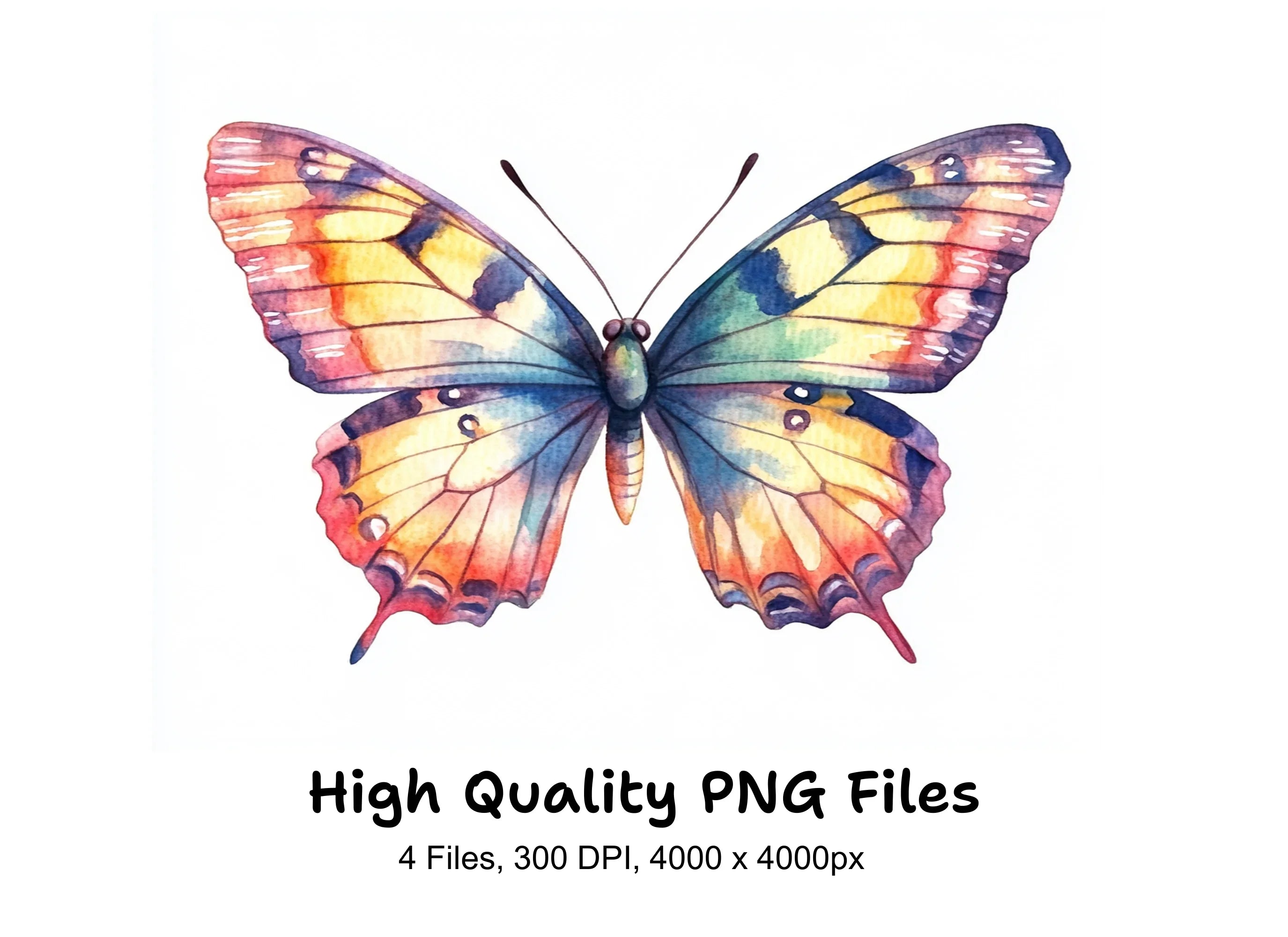Colorful Butterfly Clipart Bundle