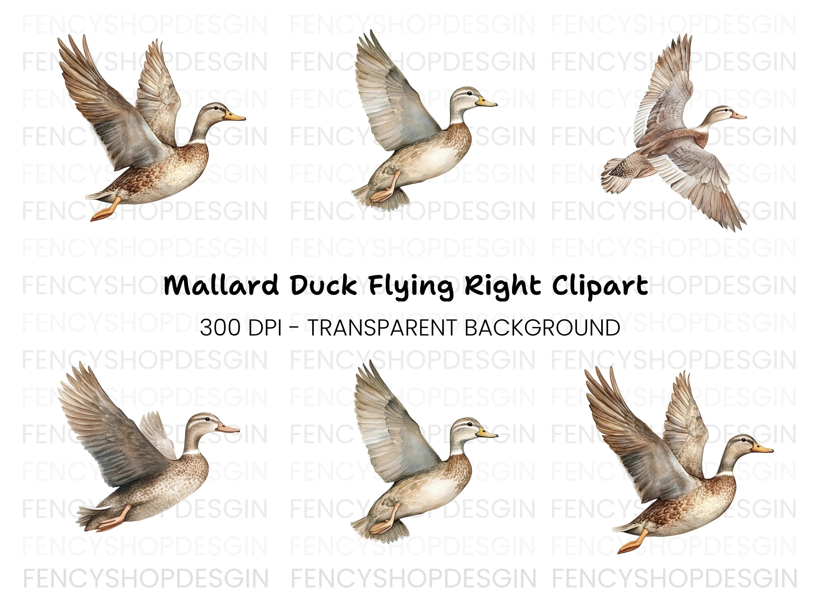 Flying Mallard Duck Clipart Bundle