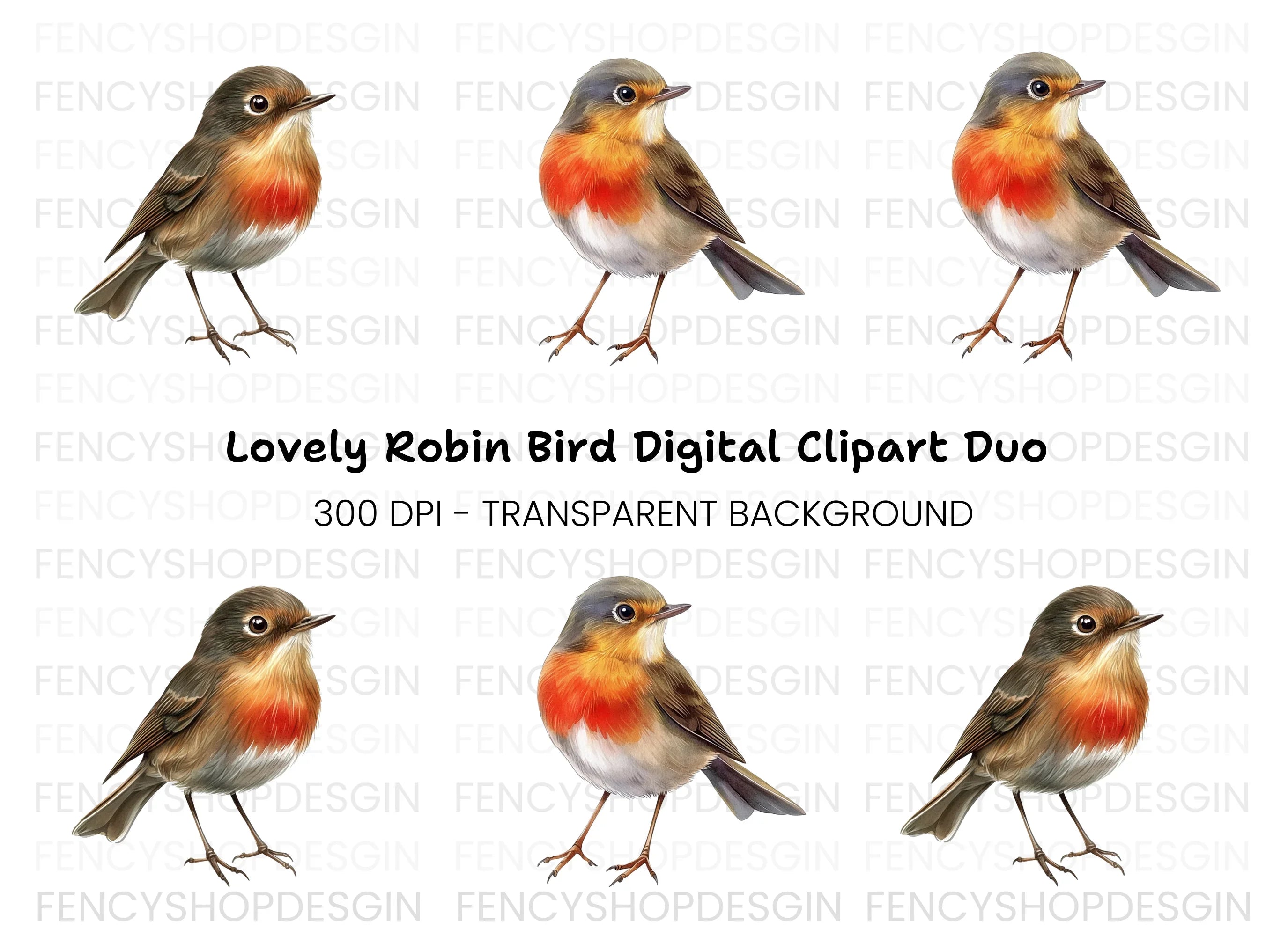 Charming Robin Bird Clipart Bundle