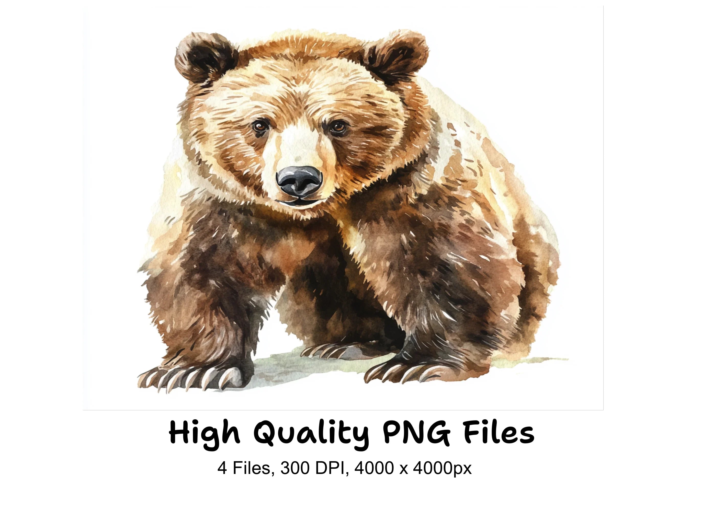 Realistic Grizzly Bear Clipart Bundle