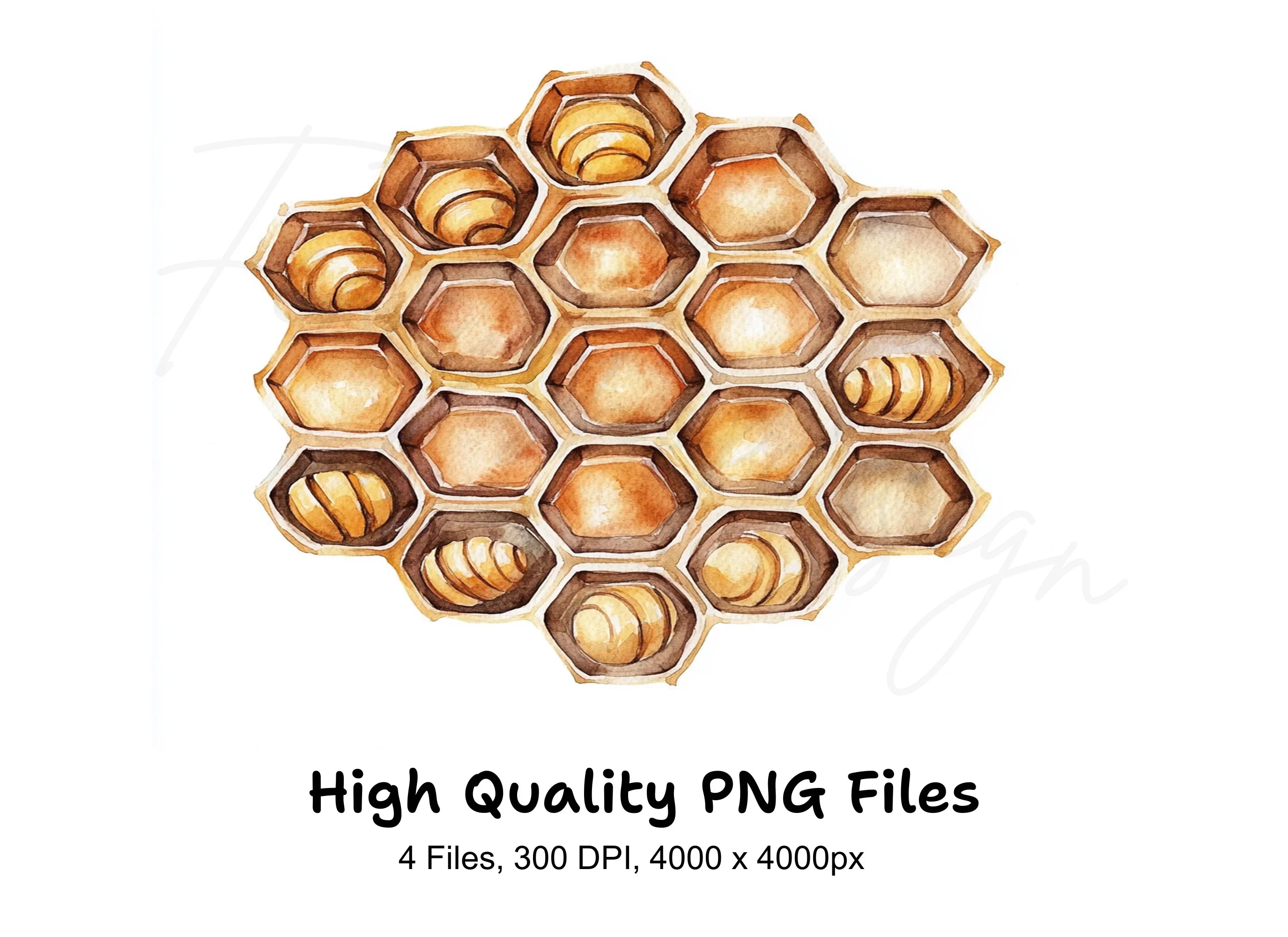 Honeycomb Clipart Bundle