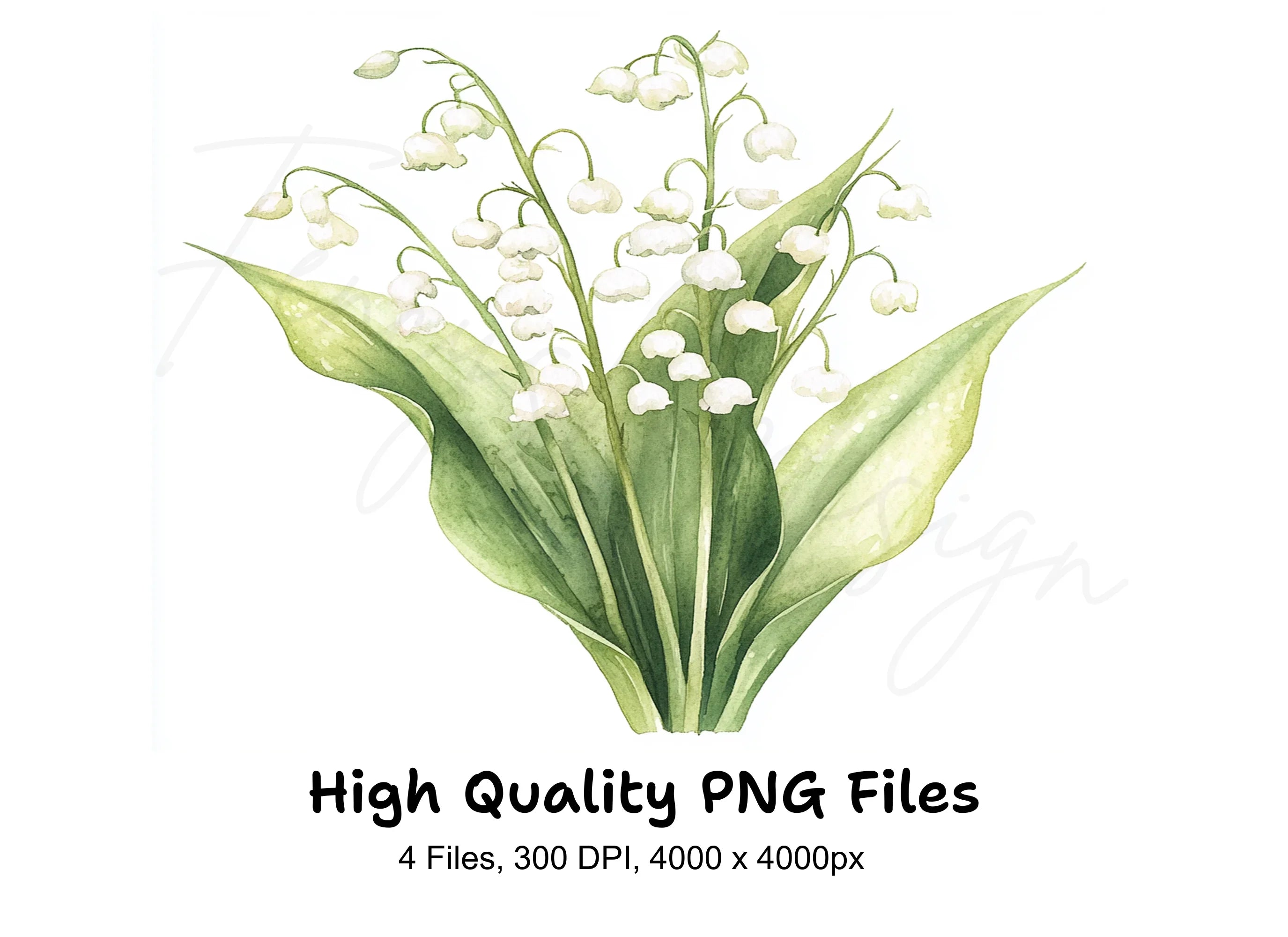 Elegant Lily of the Valley Clipart Bundle