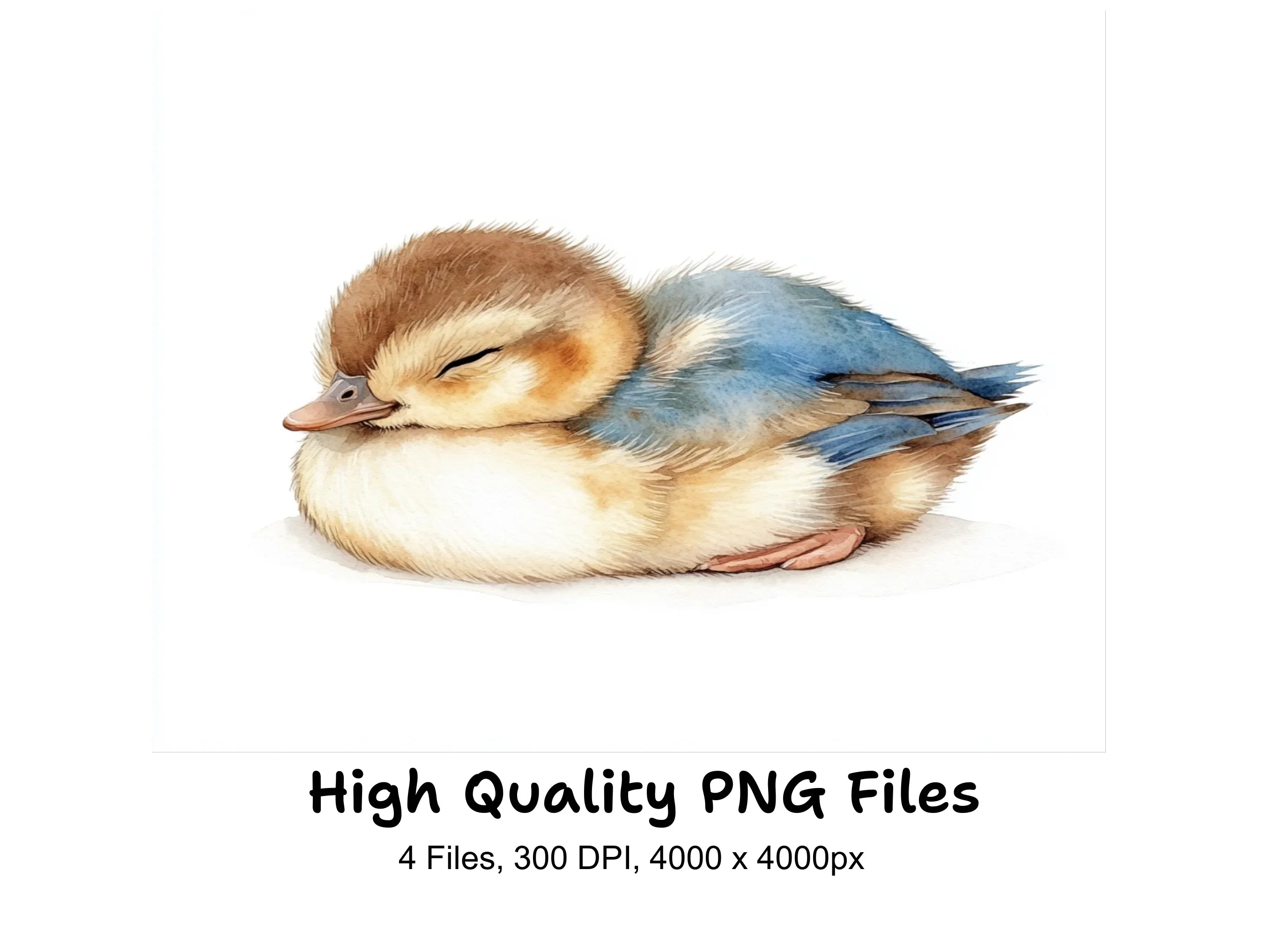 Cute Sleeping Duckling Clipart Bundle