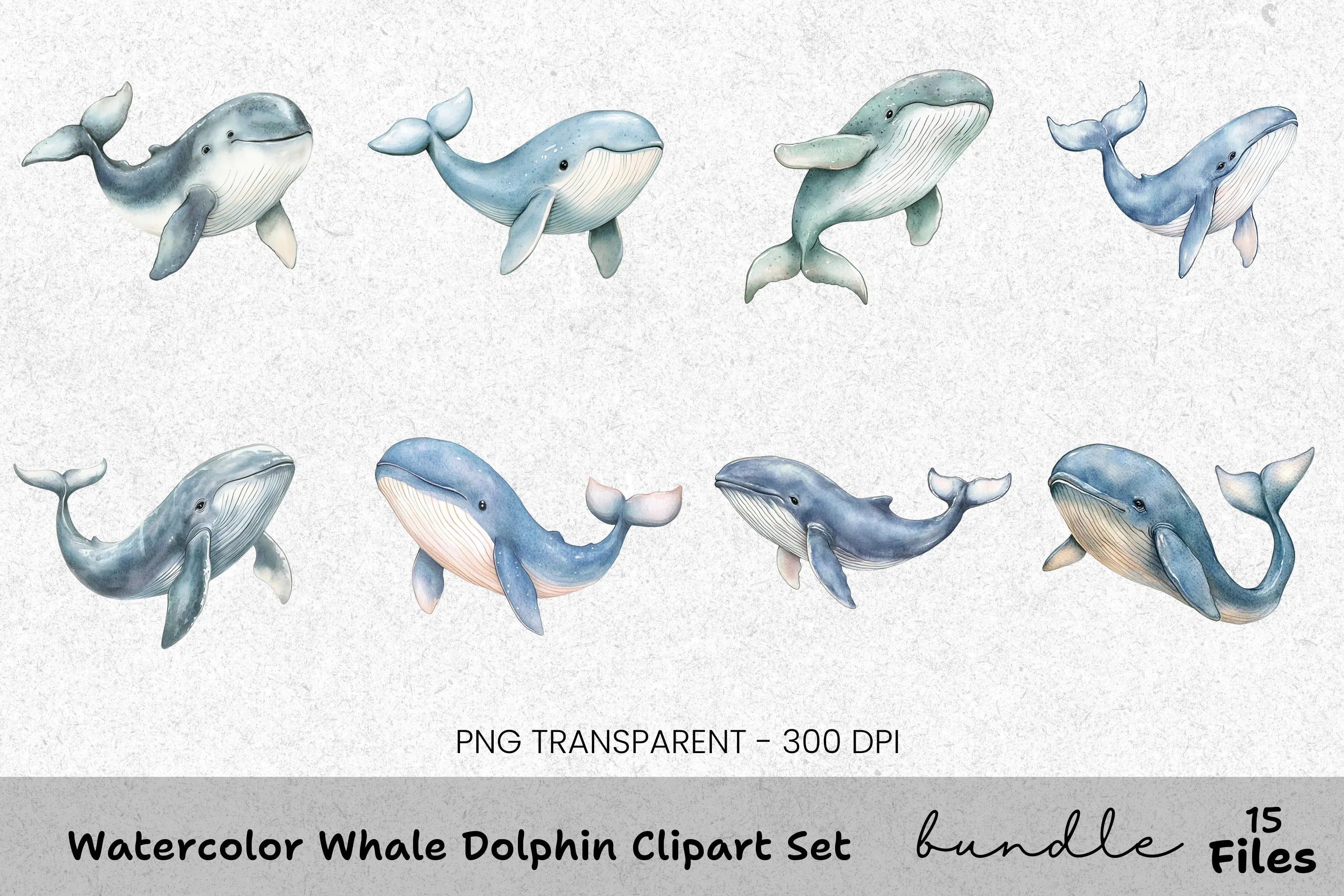 Whale and Dolphin Clipart Bundle