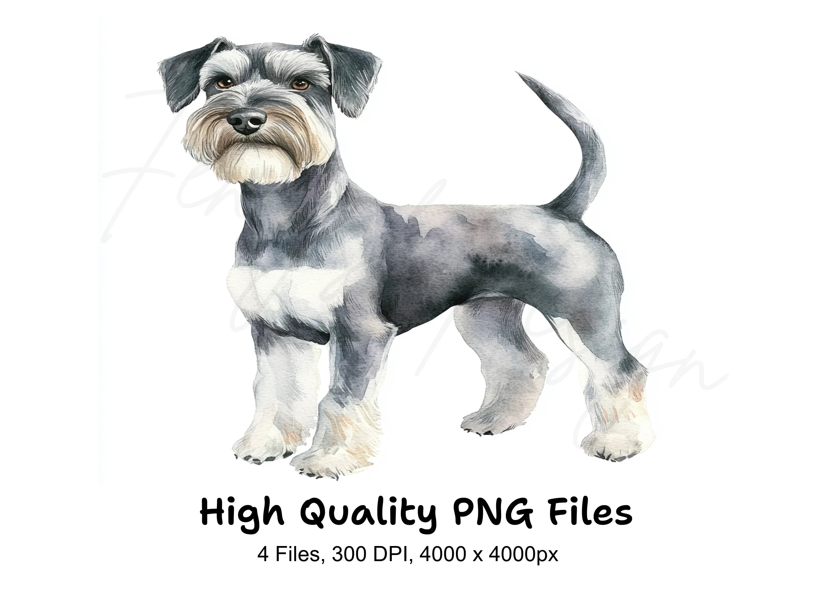 Miniature Schnauzer Clipart Bundle