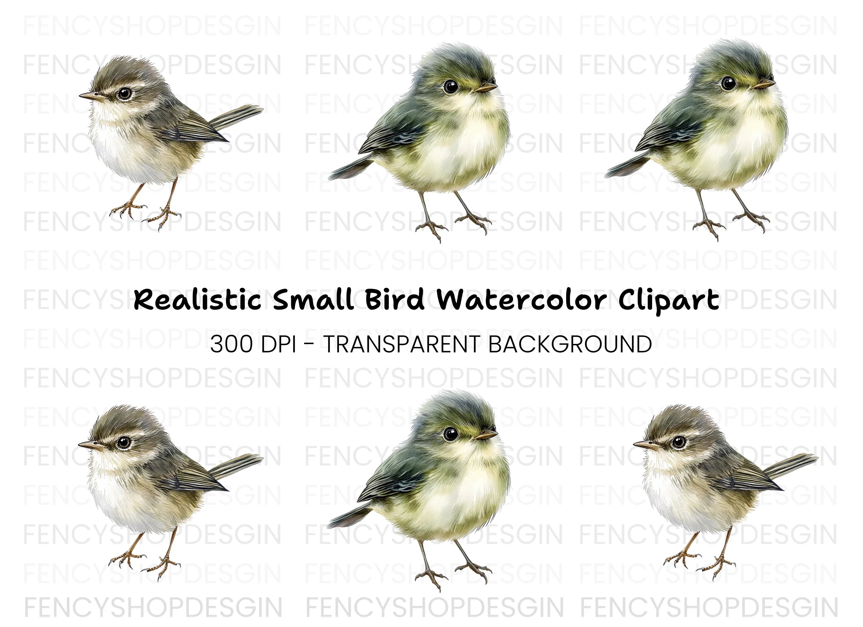 Cute Baby Birds Clipart Bundle