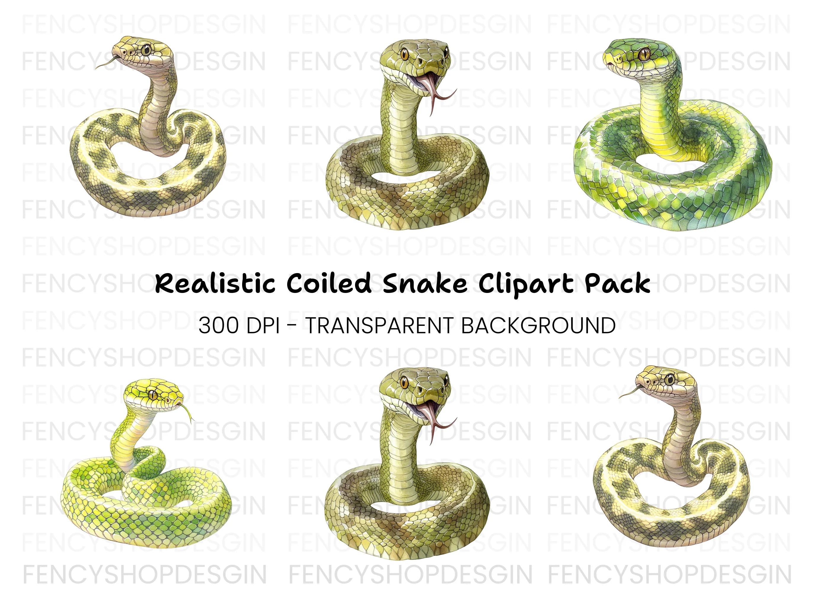 Green Snake Illustrations Clipart Bundle