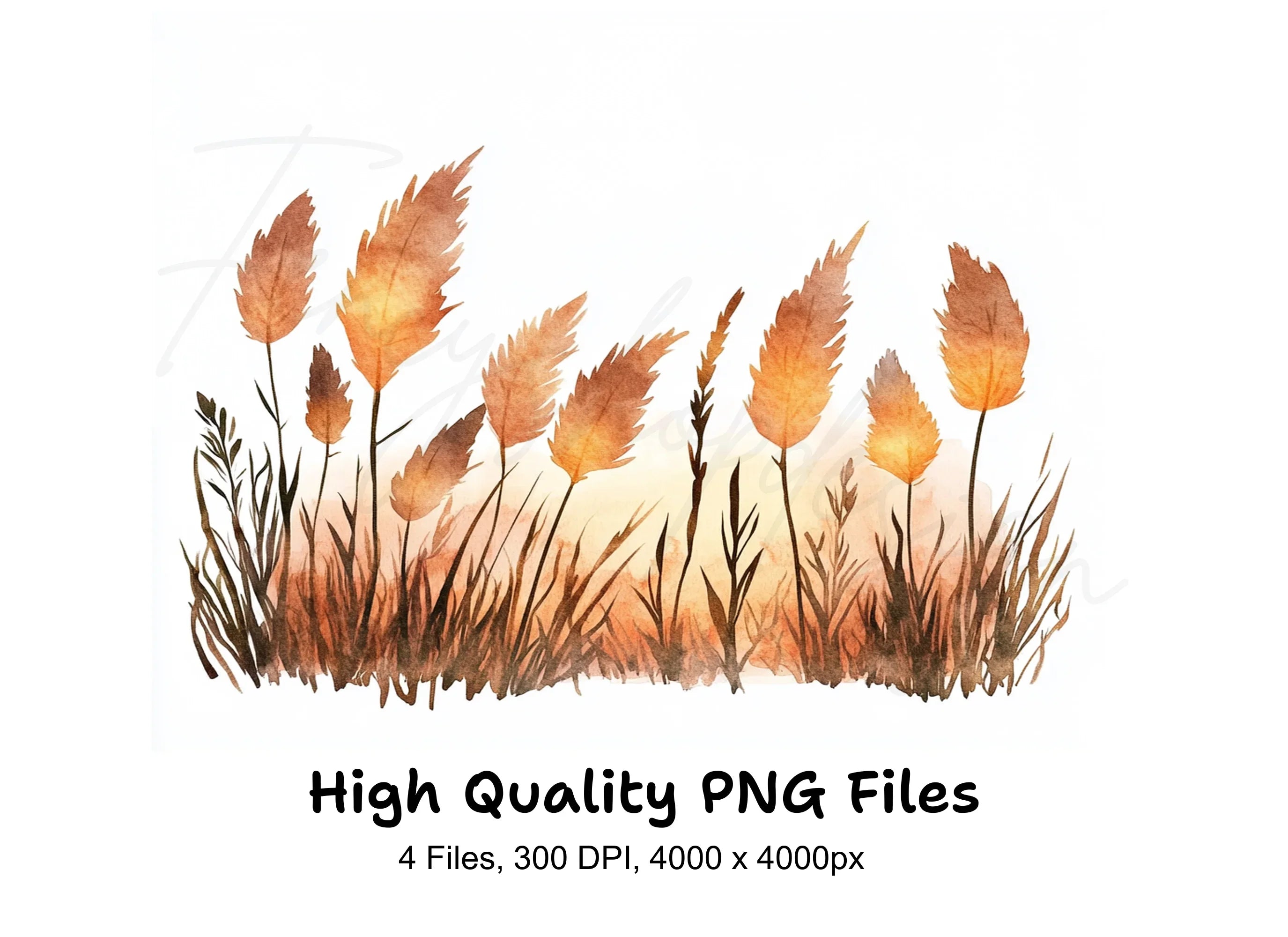 Autumn Pampas Grass Clipart Bundle