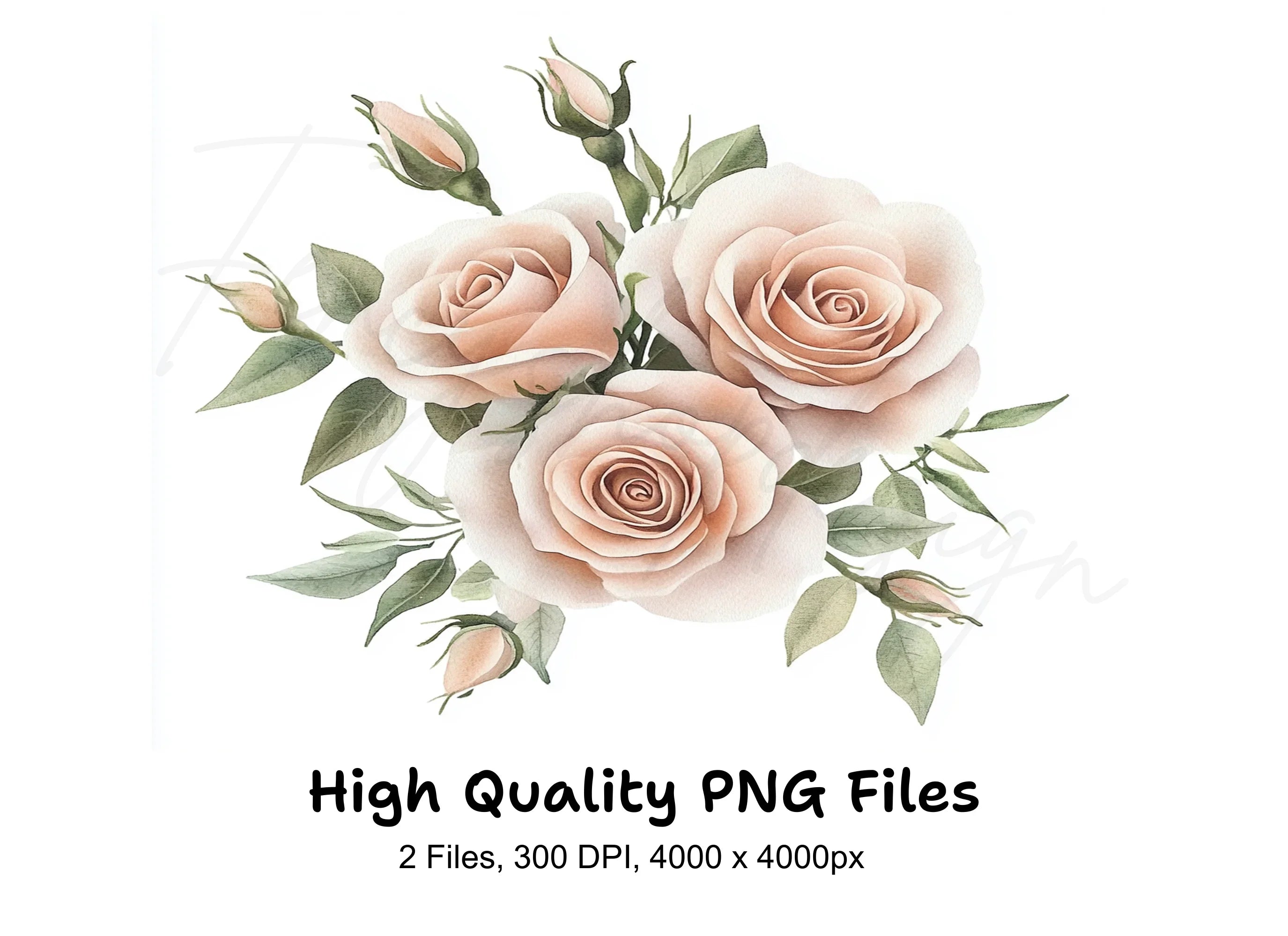 Blush Pink Rose Bouquet Clipart Bundle