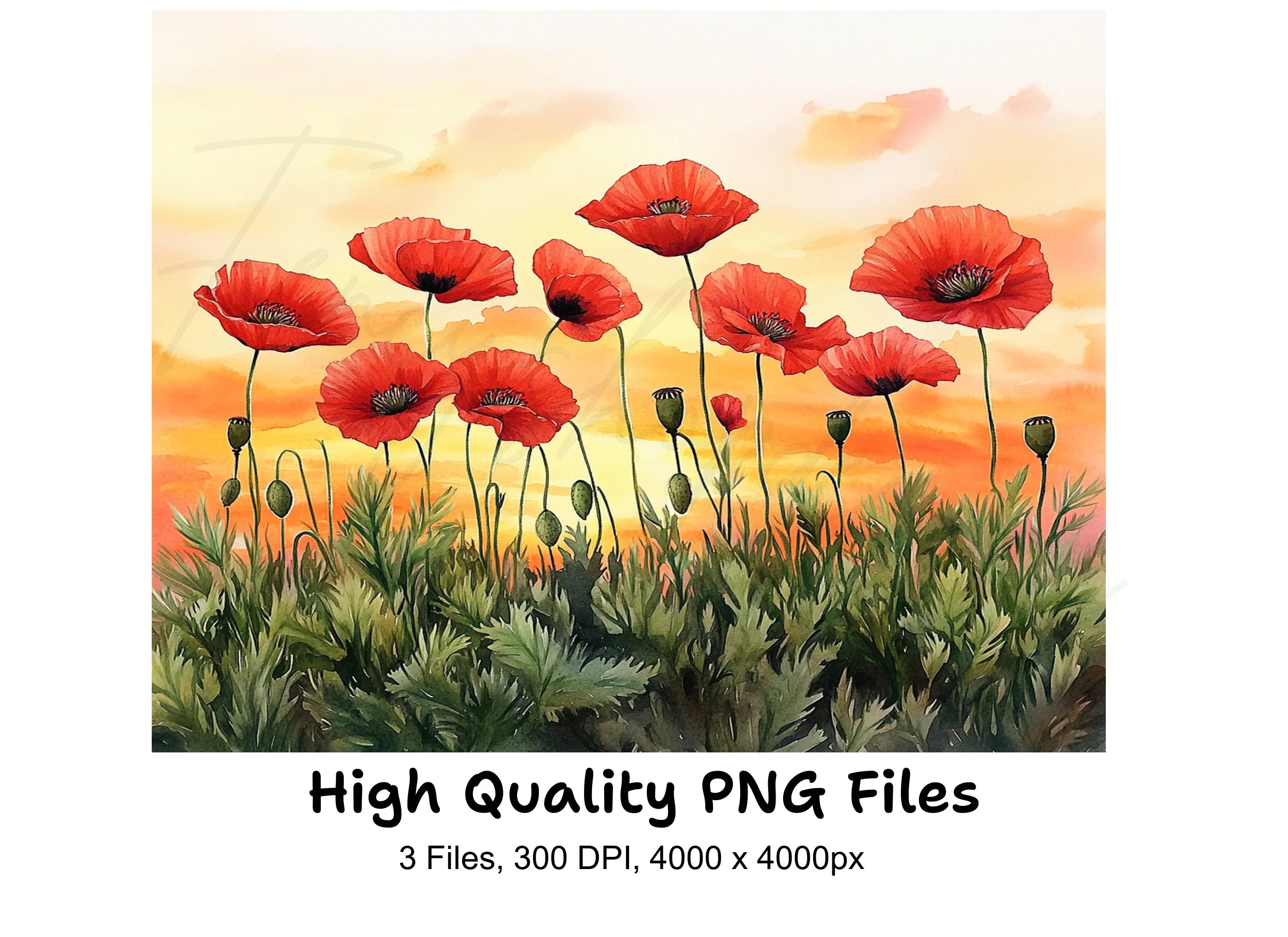 Poppy Field Sunset Landscape Clipart Bundle