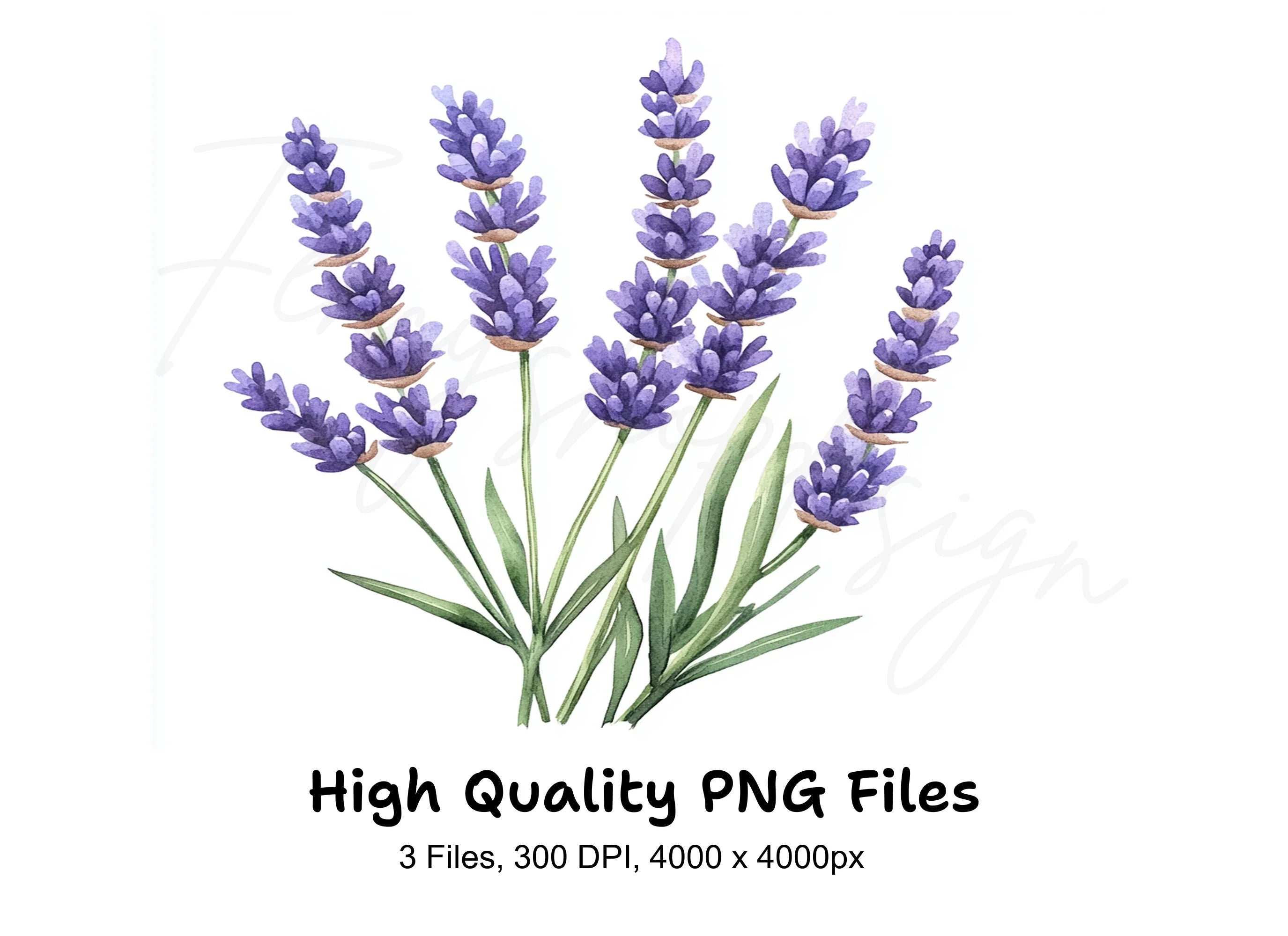 Lavender Clipart Bundle