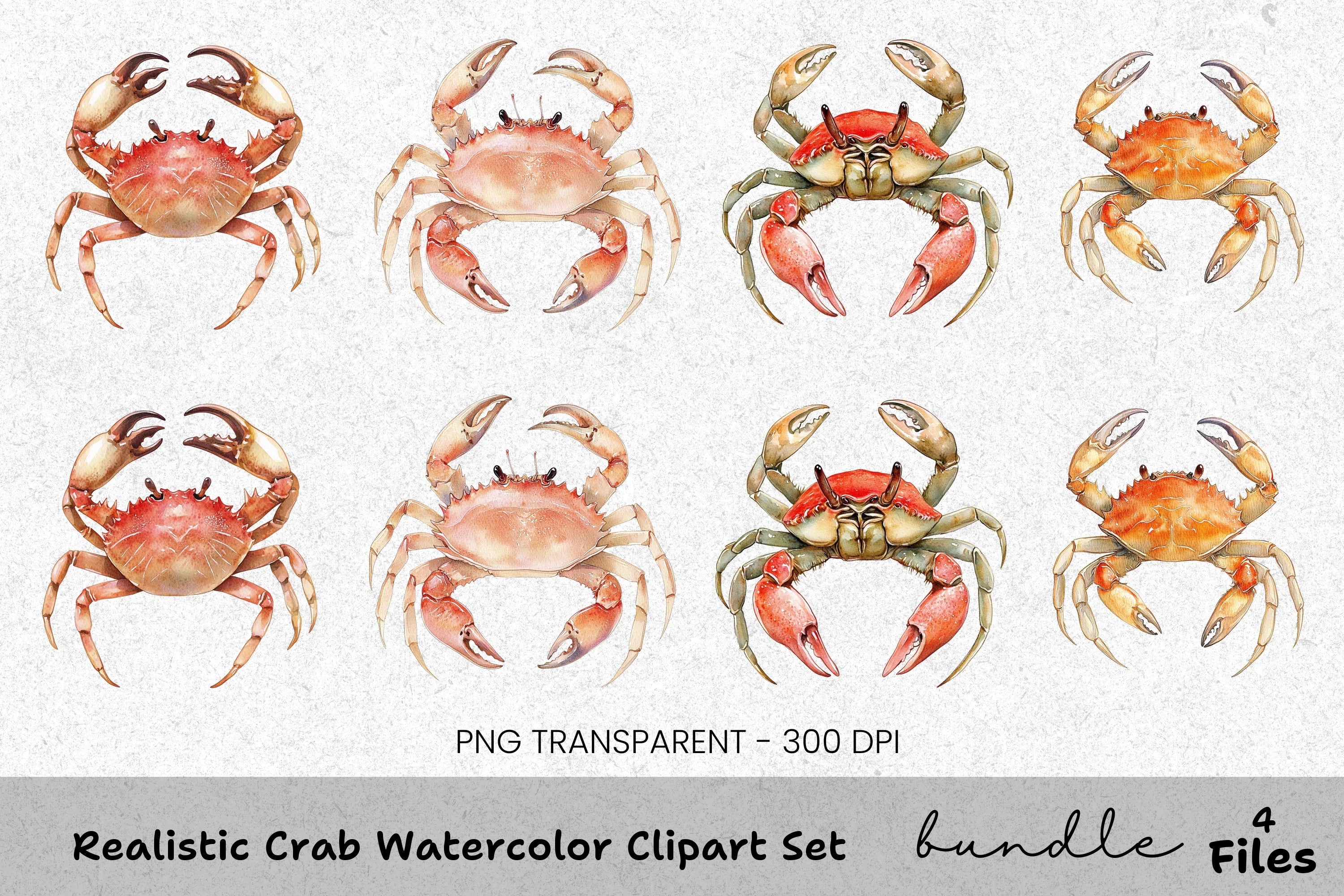 Realistic Crab Clipart Bundle