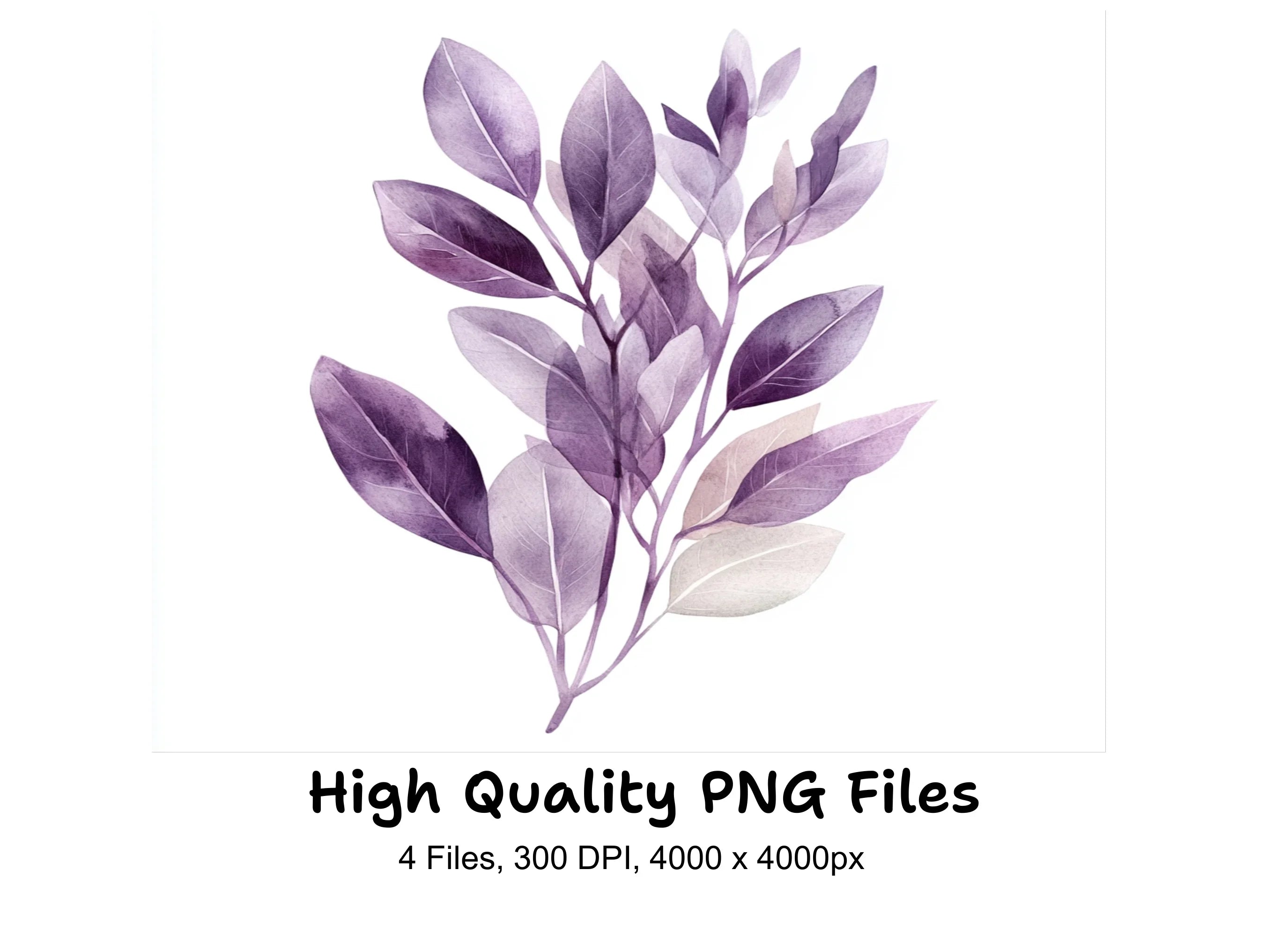 Purple Lavender Clipart Bundle