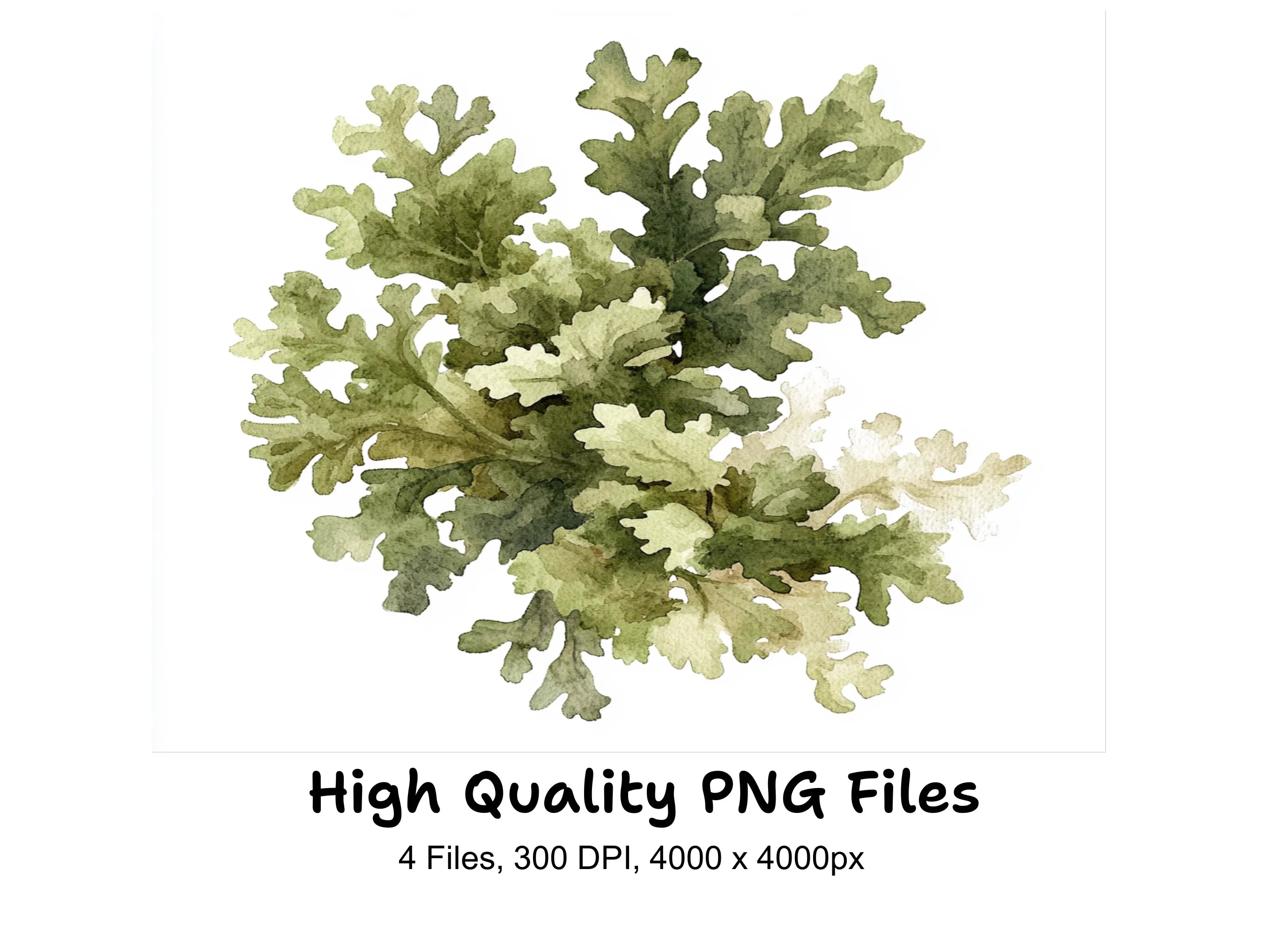 Earthy Green Foliage Clipart Bundle