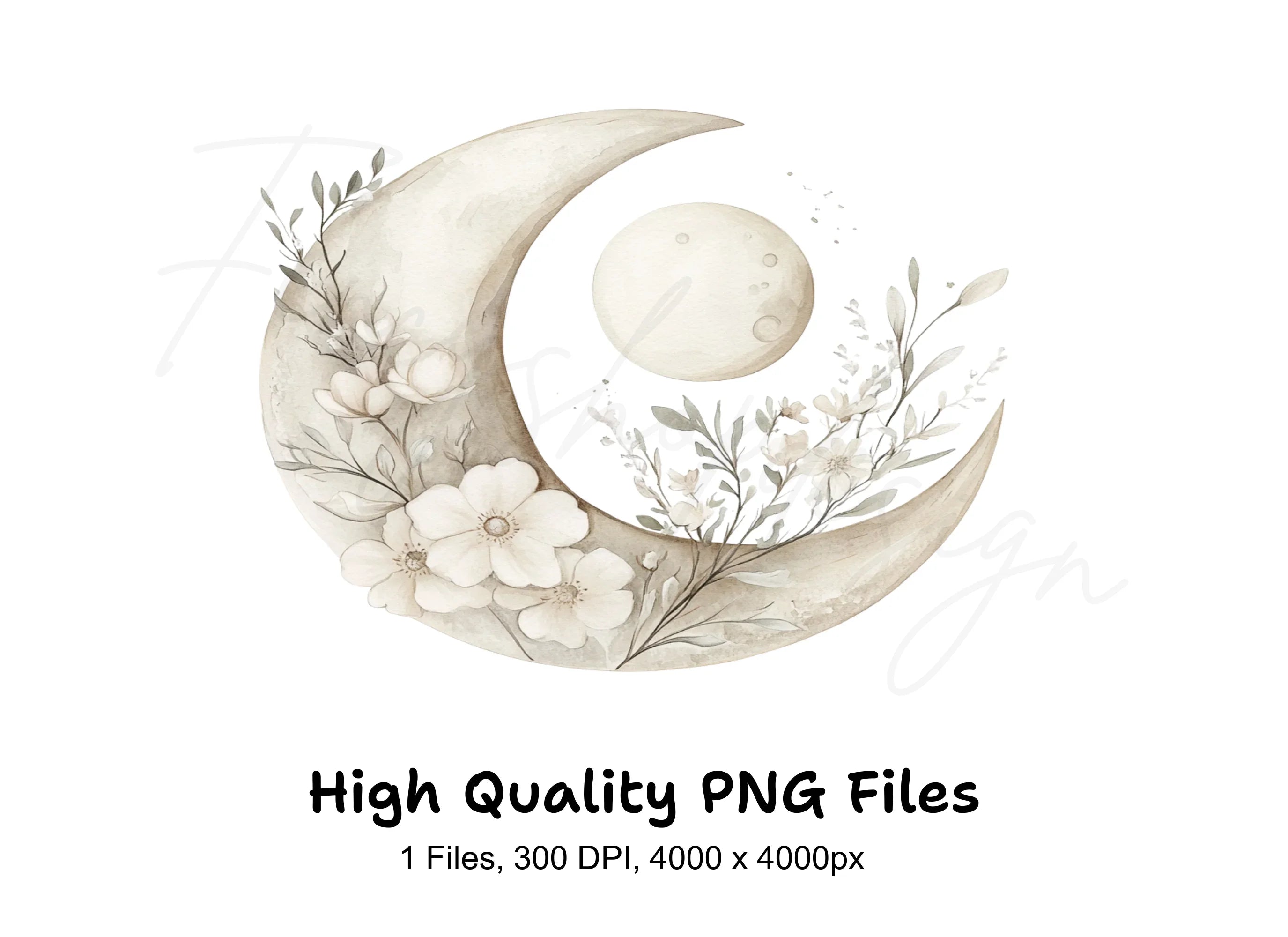 Elegant Floral Crescent Moon Clipart Bundle