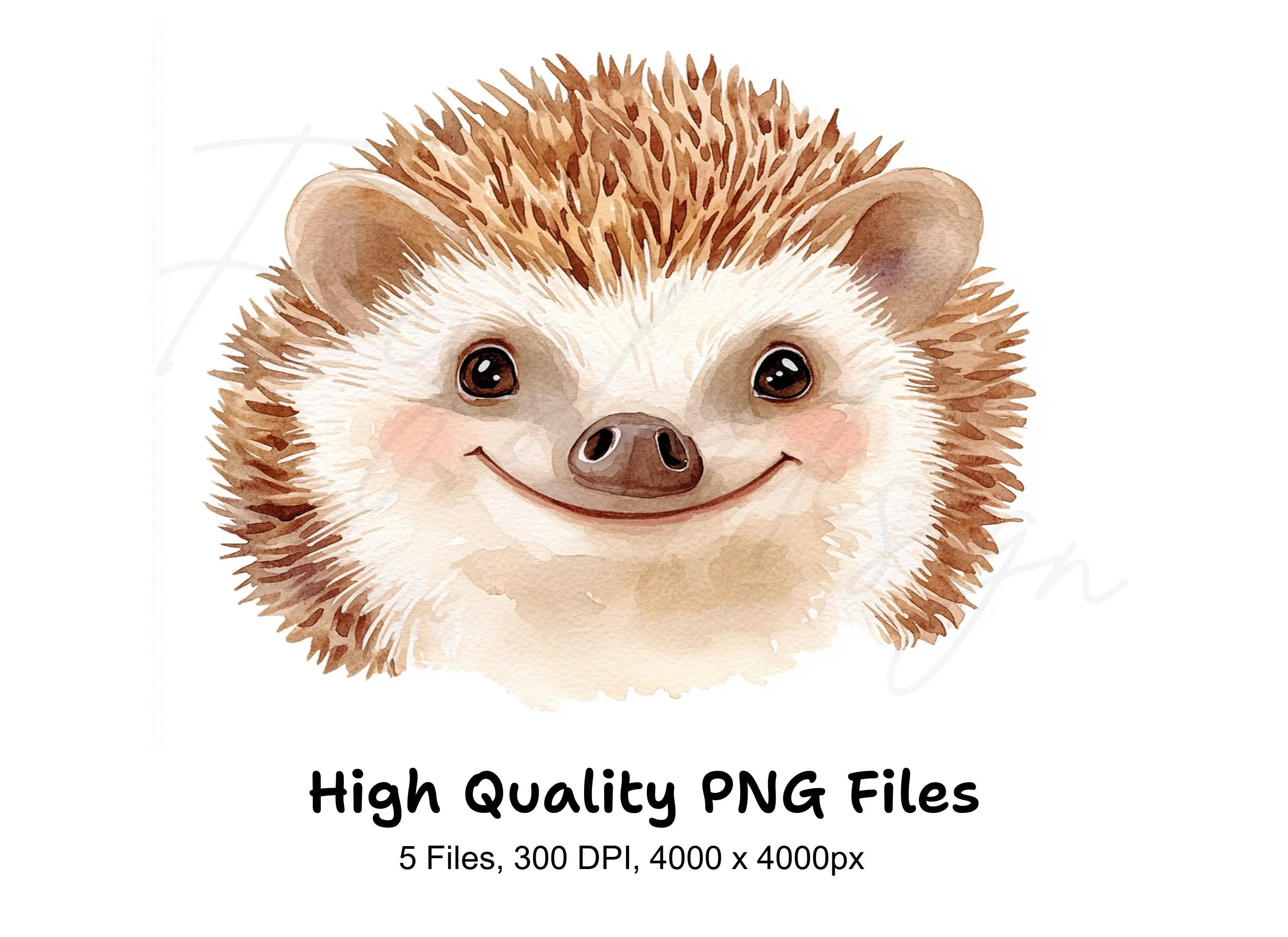 Cute Hedgehog Clipart Bundle